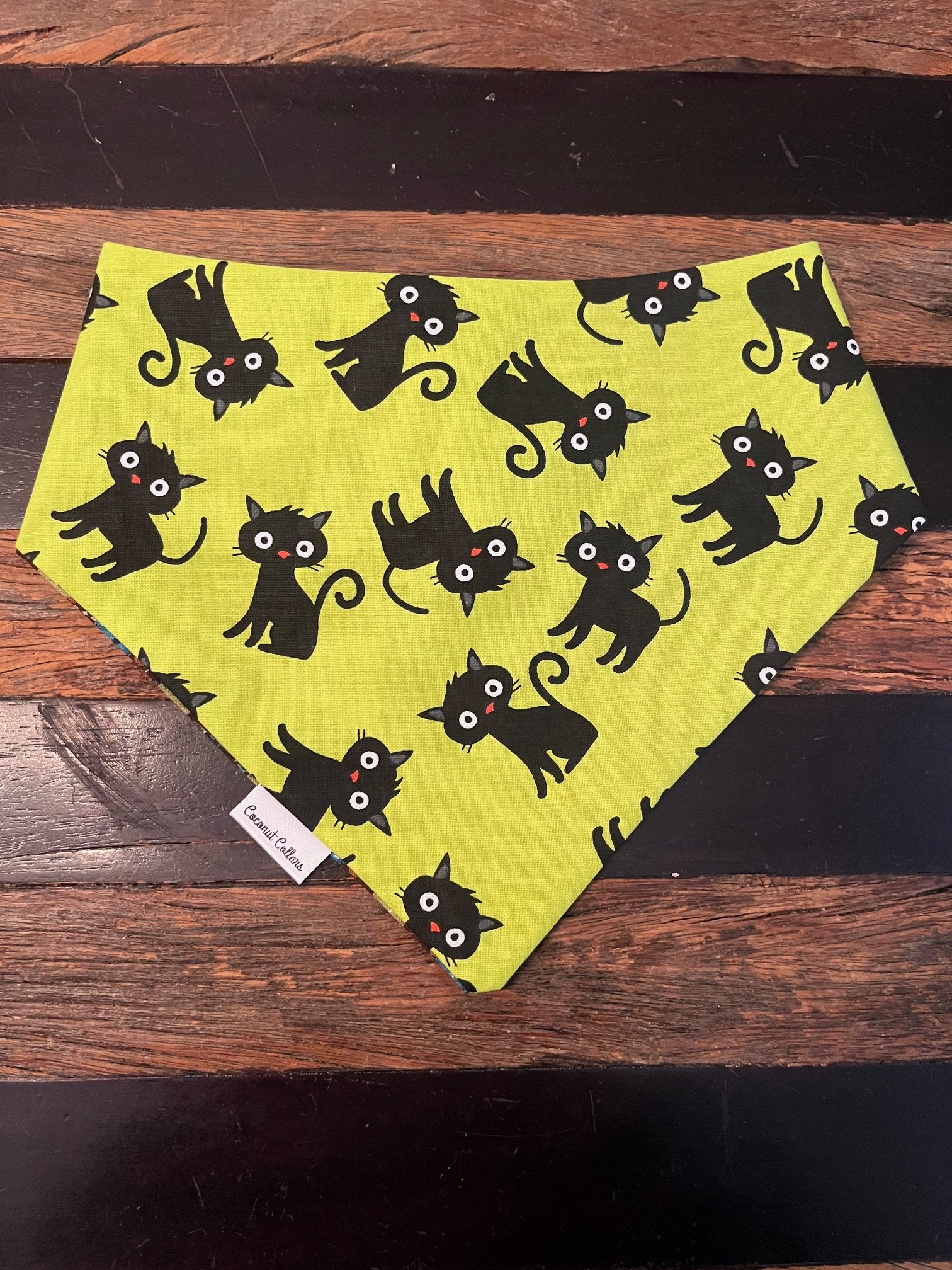 Black Cats on Green Front.jpg
