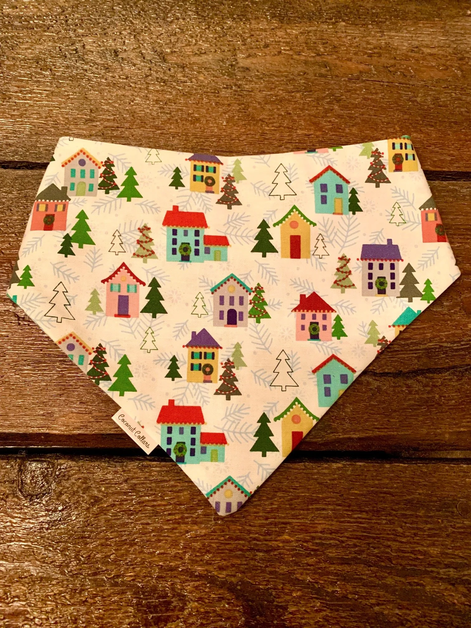 Winter Village Front.jpg