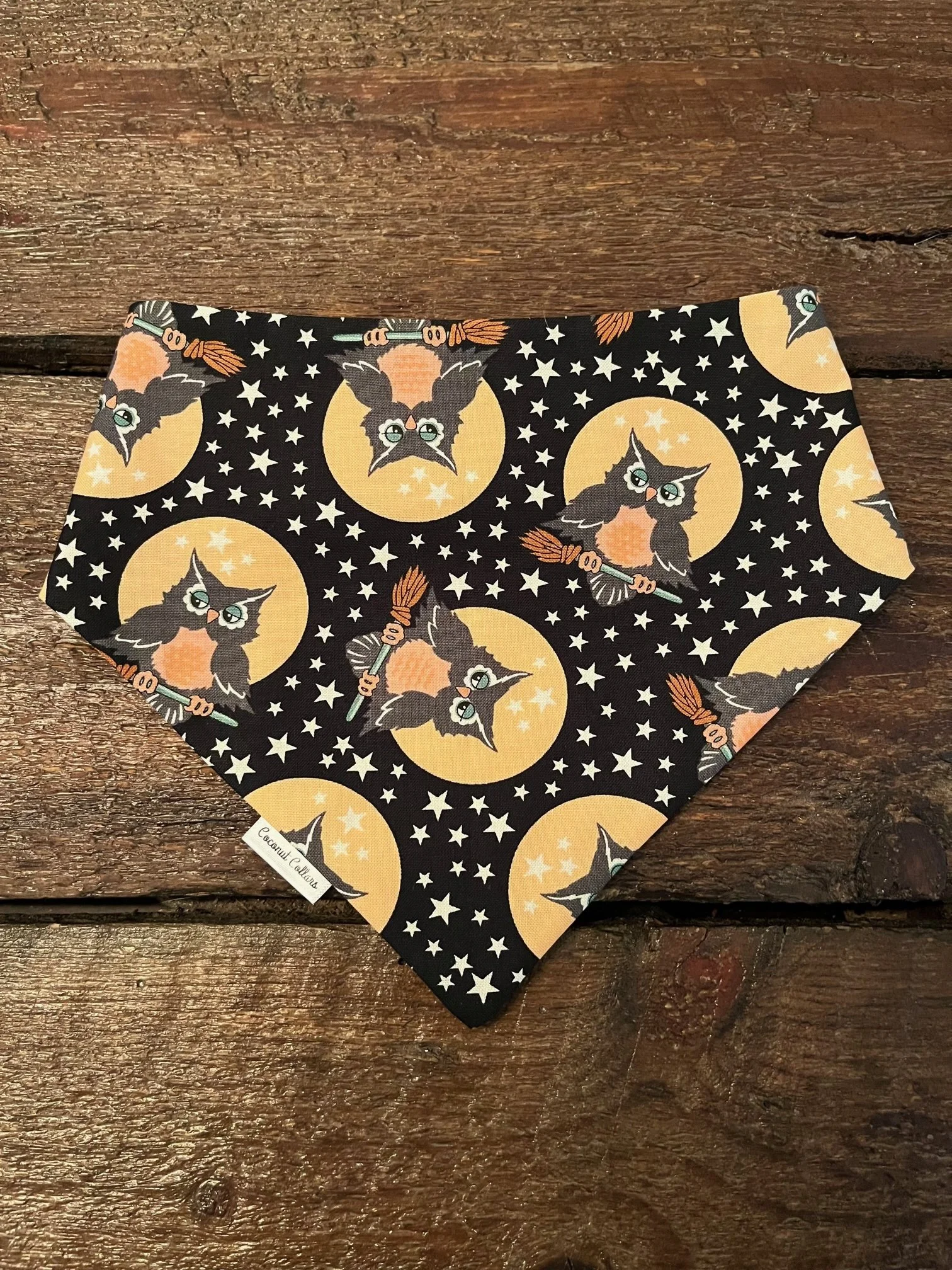 Halloween Owls Front.jpg