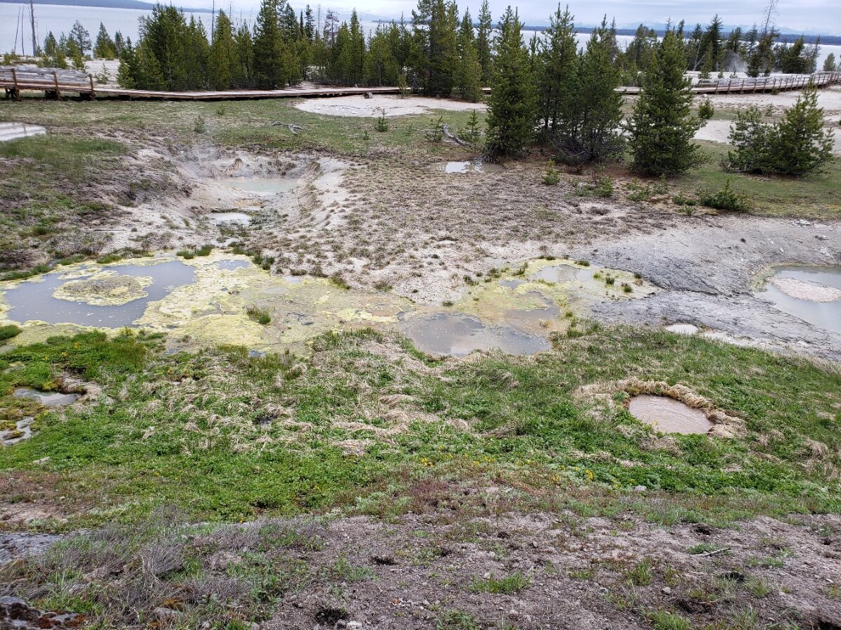 YellowstoneWestThumbGeyserBasin4.jpg