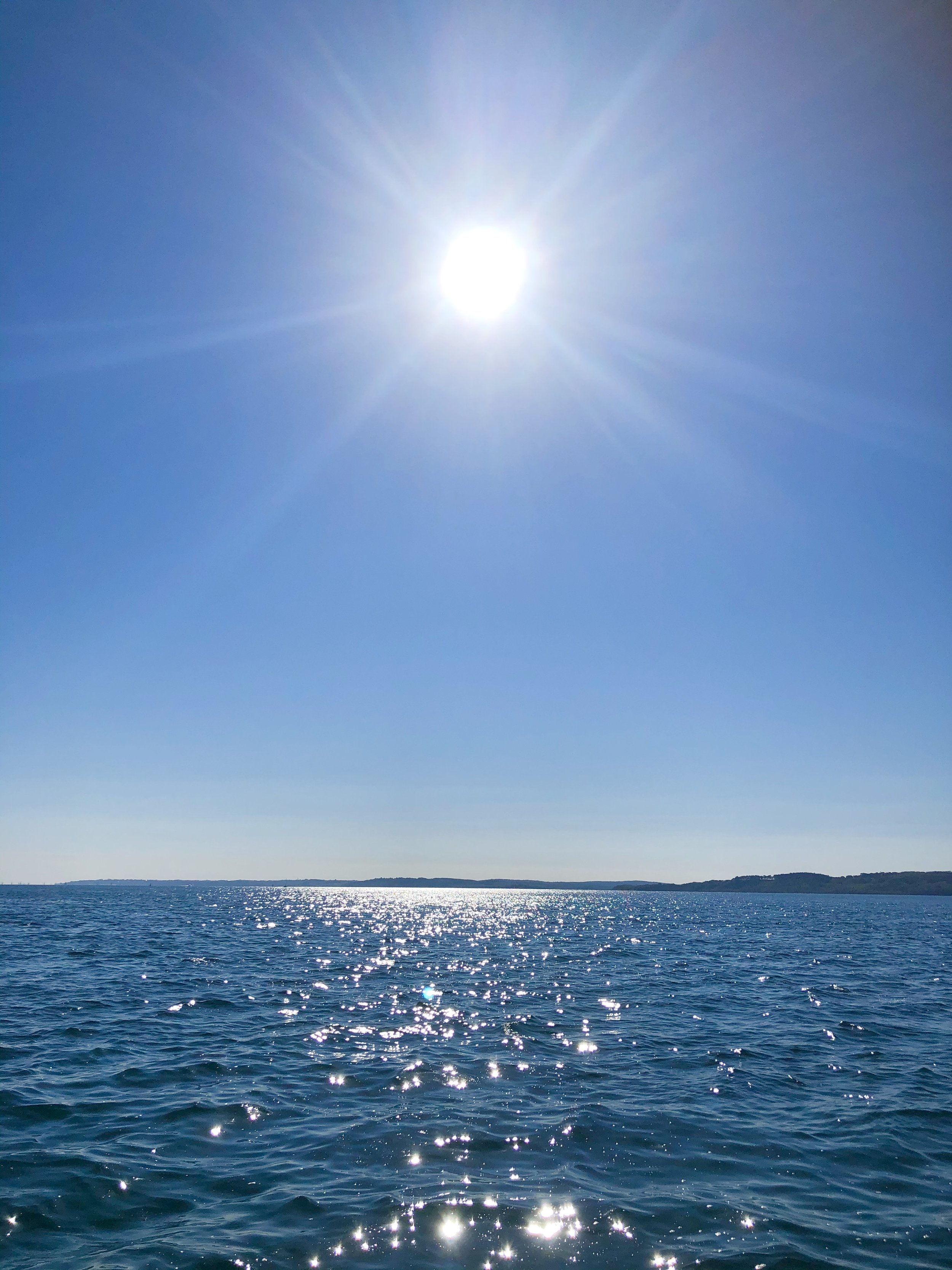 EE056C8A-DA27-4178-A67C-F6A0F1C28E06.jpeg