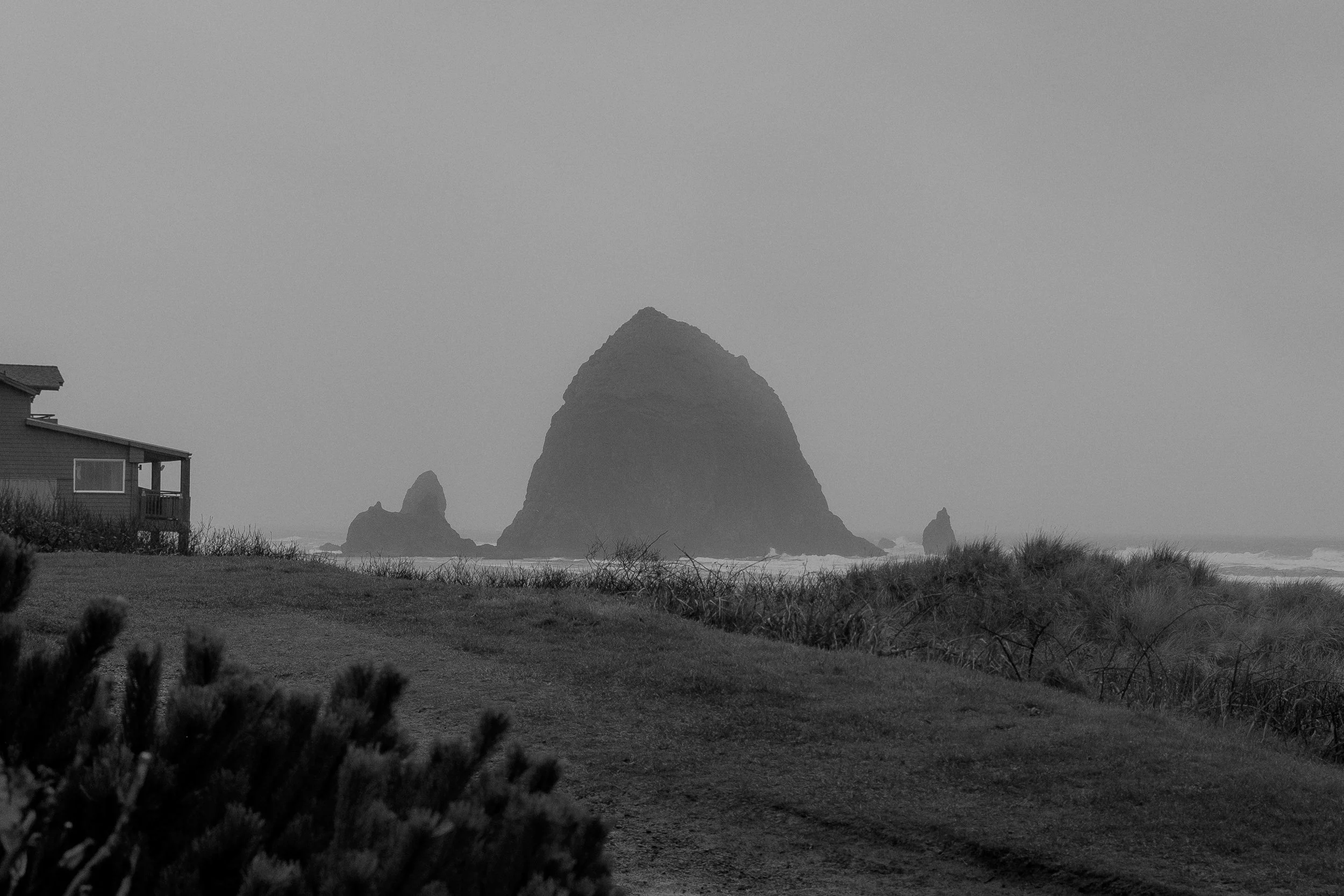 x100f 12.19.21-9233-2.jpg