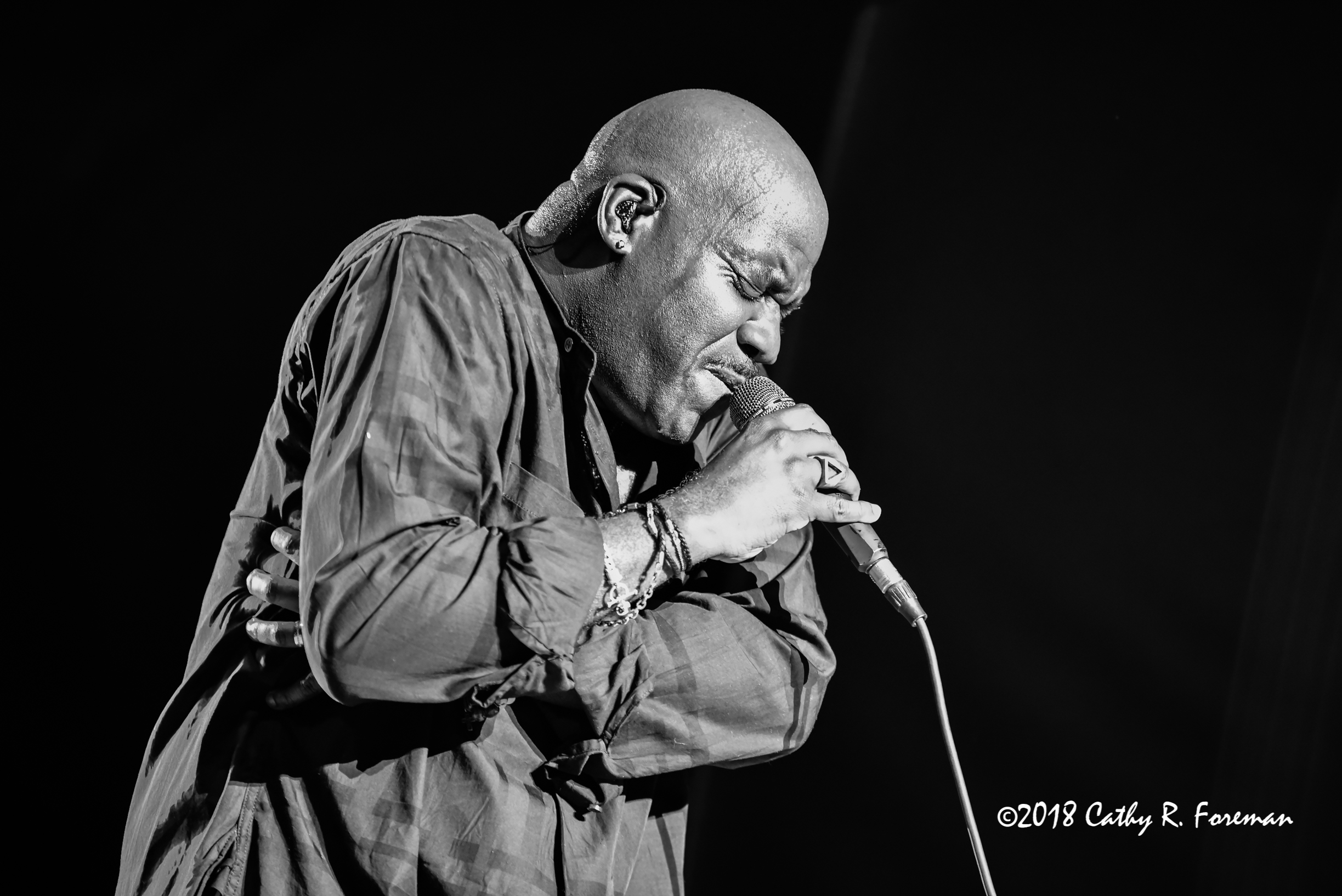 (c) 2018 Will Downing by Cathy R. Foreman