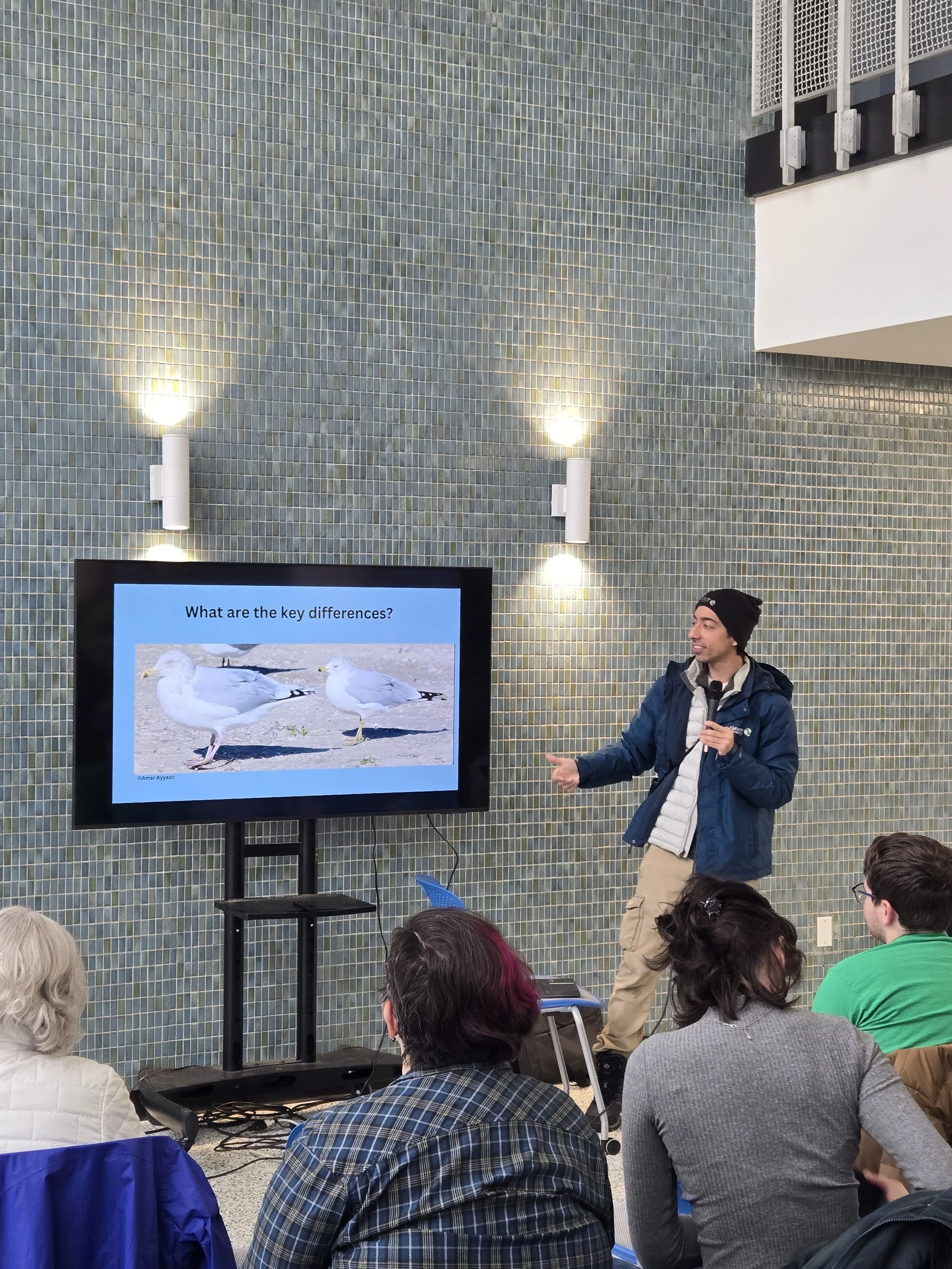 Indoors, man in knit cap and winter coat gestures to the large monitor to his side as he explains to attendees, some visible in the front row, about common winter waterfowl.