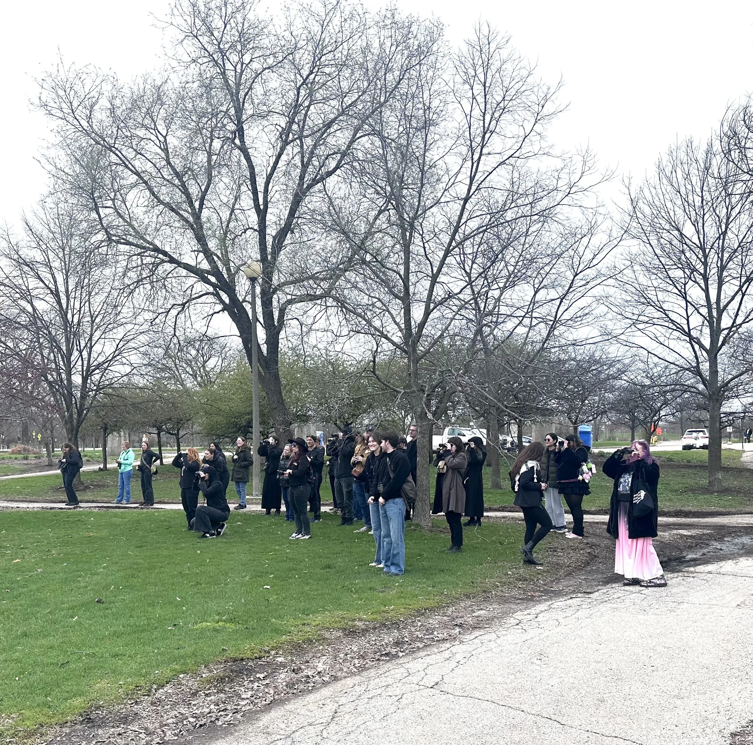 Group of about 30 people in dark clothes (and one pink skirt), with binoculars, standing on grass at the intersection of two walkways, leafless trees behind them.