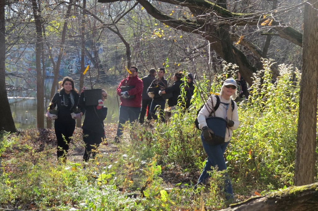 volunteers-planting-shrubs-1024x682.jpg