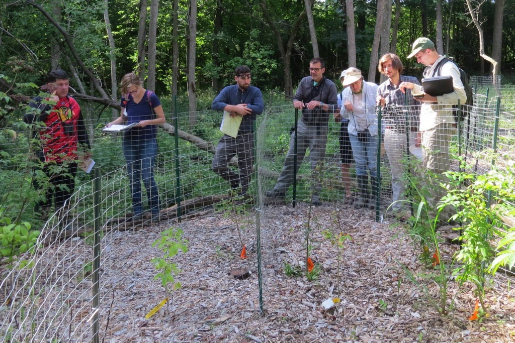 The planning group is taking a break to admire one of our "peanuts" planted in the spring.