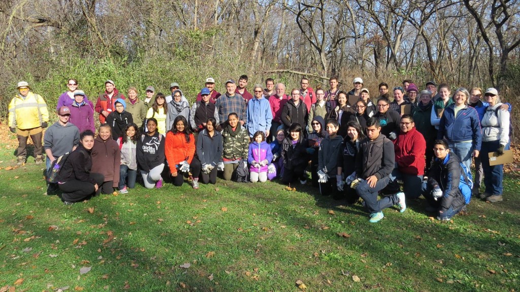 Volunteers at the November 15 planting day included 2 school groups and entailed a lot of organization.