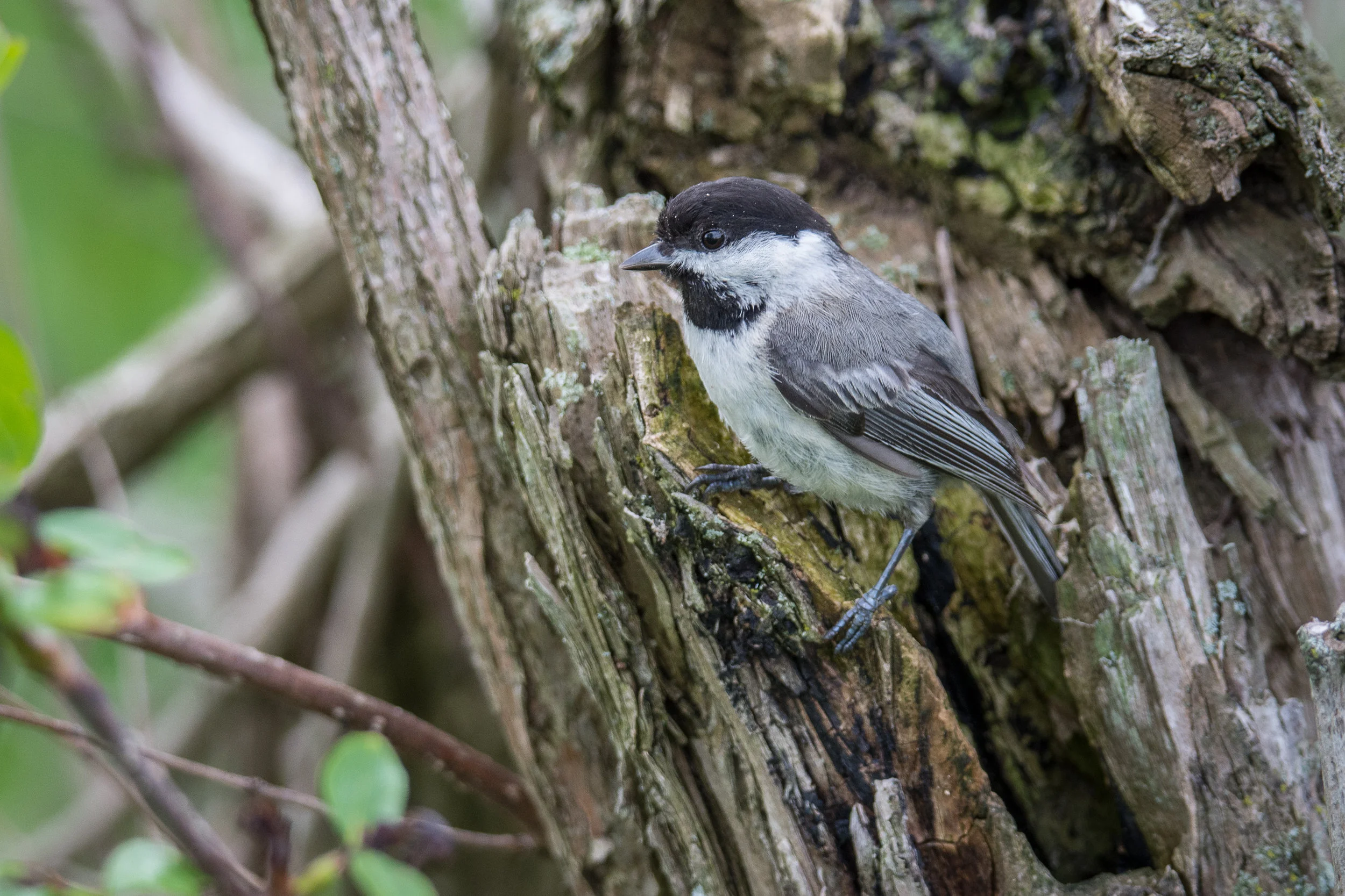 DSC_5841.jpg