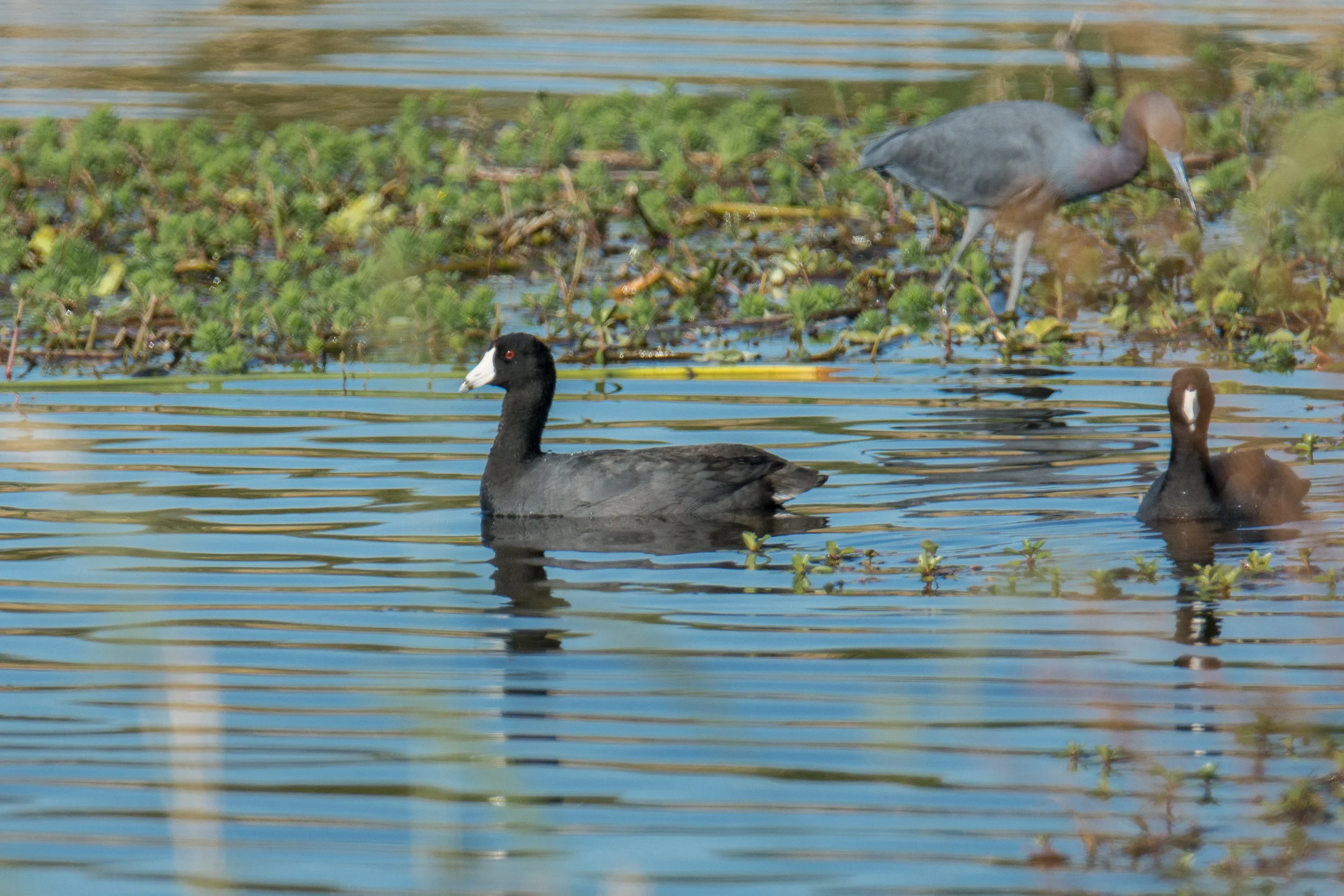 DSC_0815.jpg