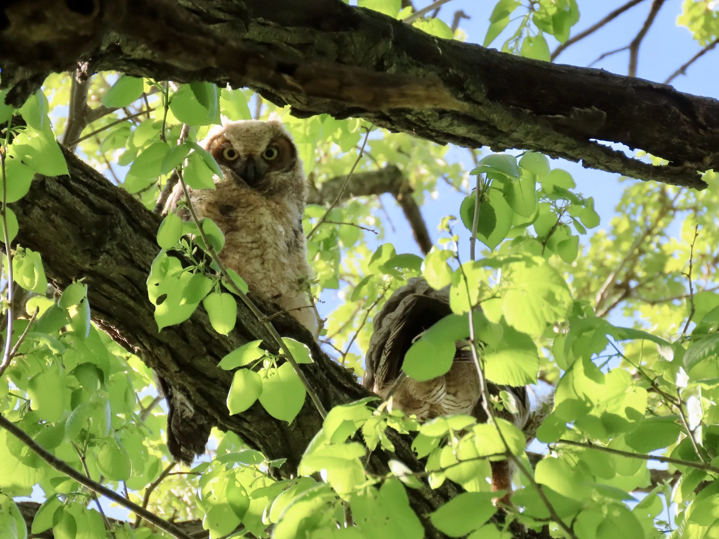 When You Love a Patch