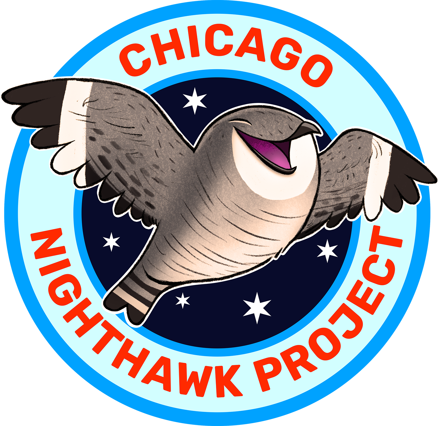 Birds &amp; Bytes: Shining a Light on Nighthawk Conservation