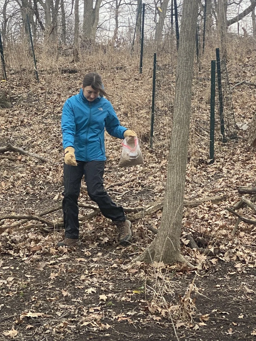 Marquette Park Stewardship Workday