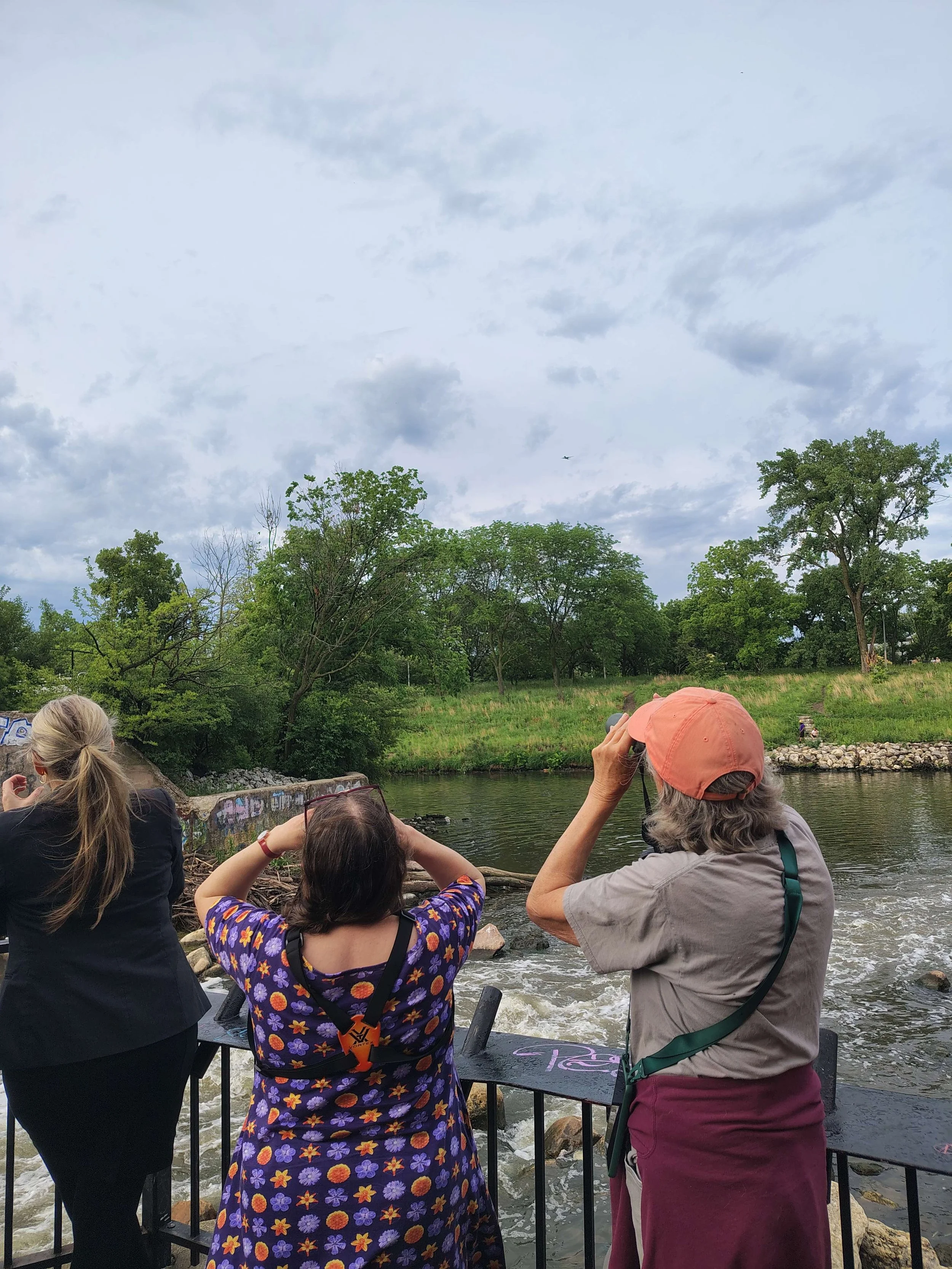 Field Trip Report: River Park Heron Watch