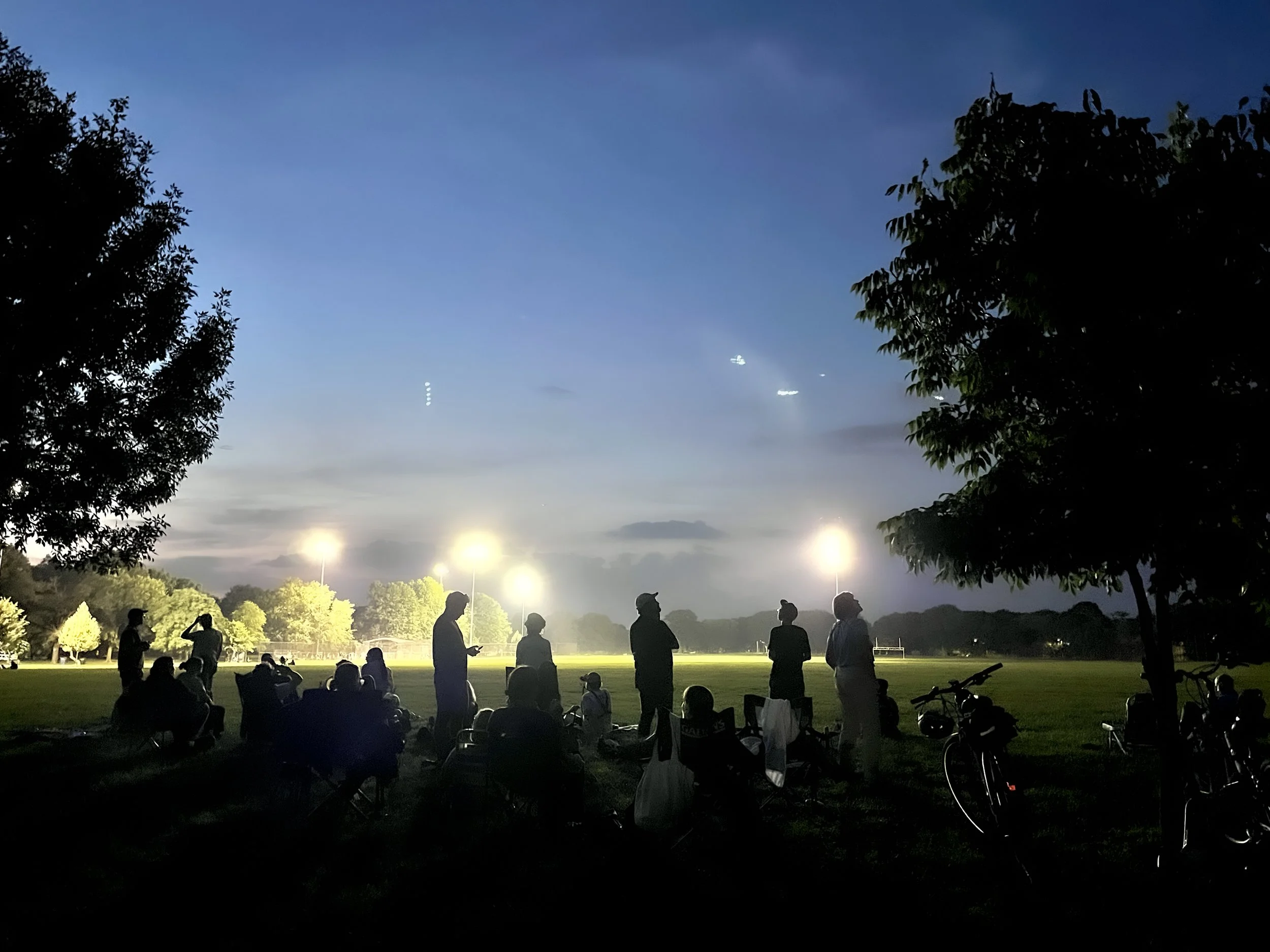 Field Trip Report: Common Nighthwk Watch