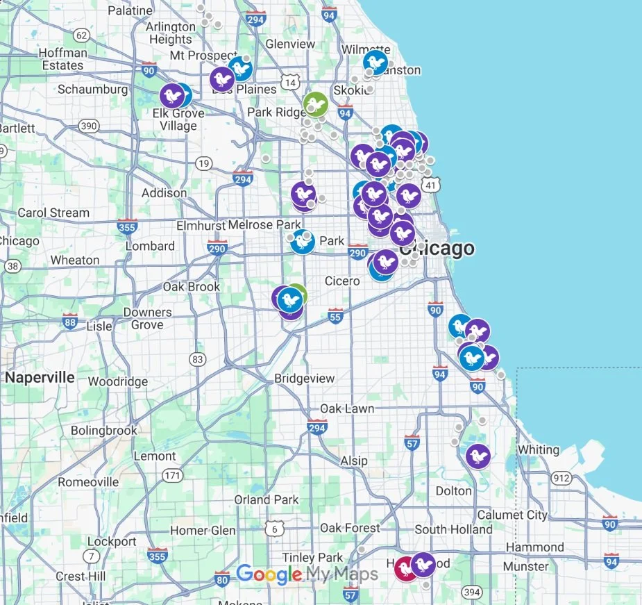 Results of the 2024 Nighthawk Monitoring Season — Chicago ...