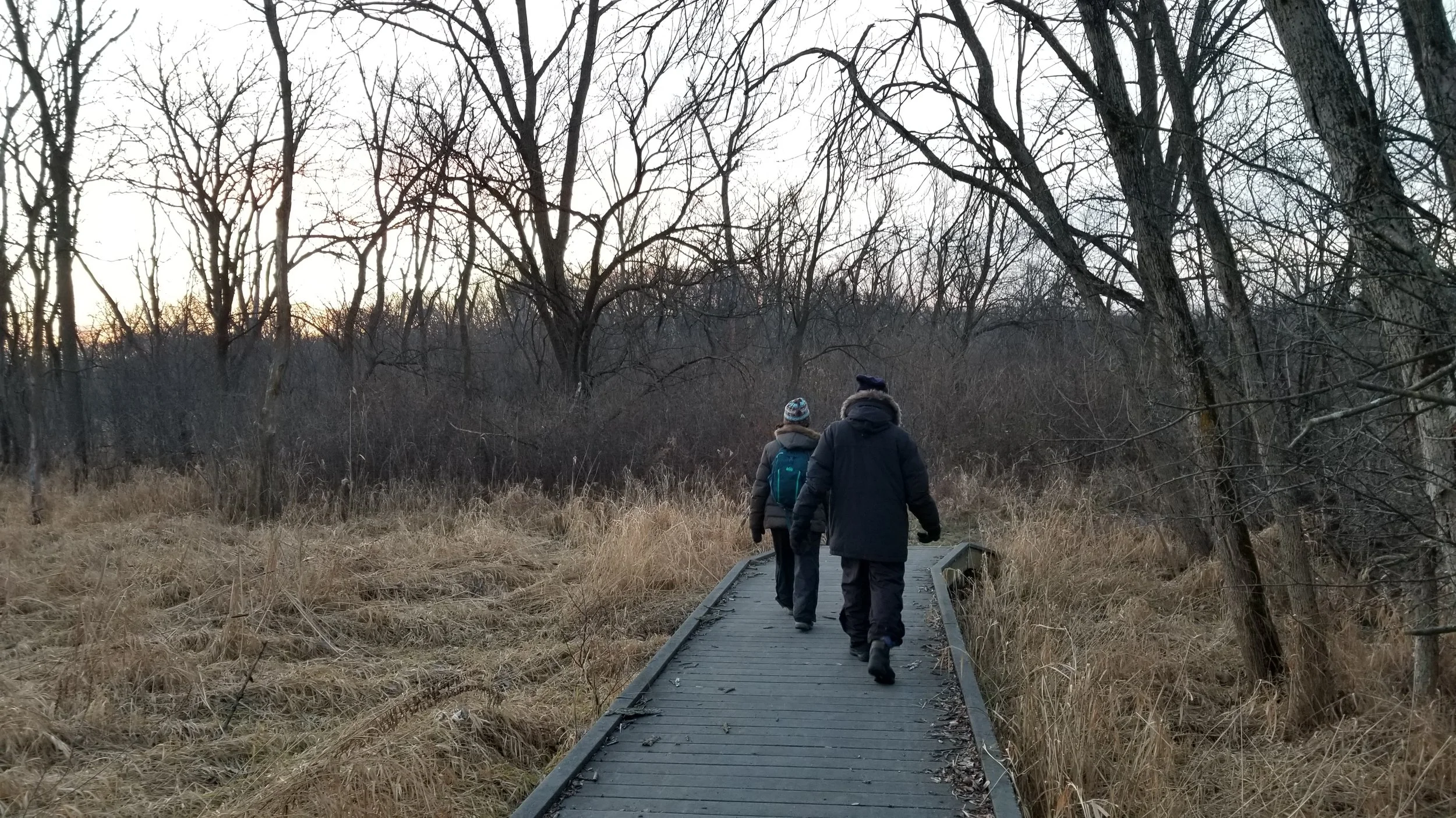 Always Be Counting: The Lisle-Arboretum CBC