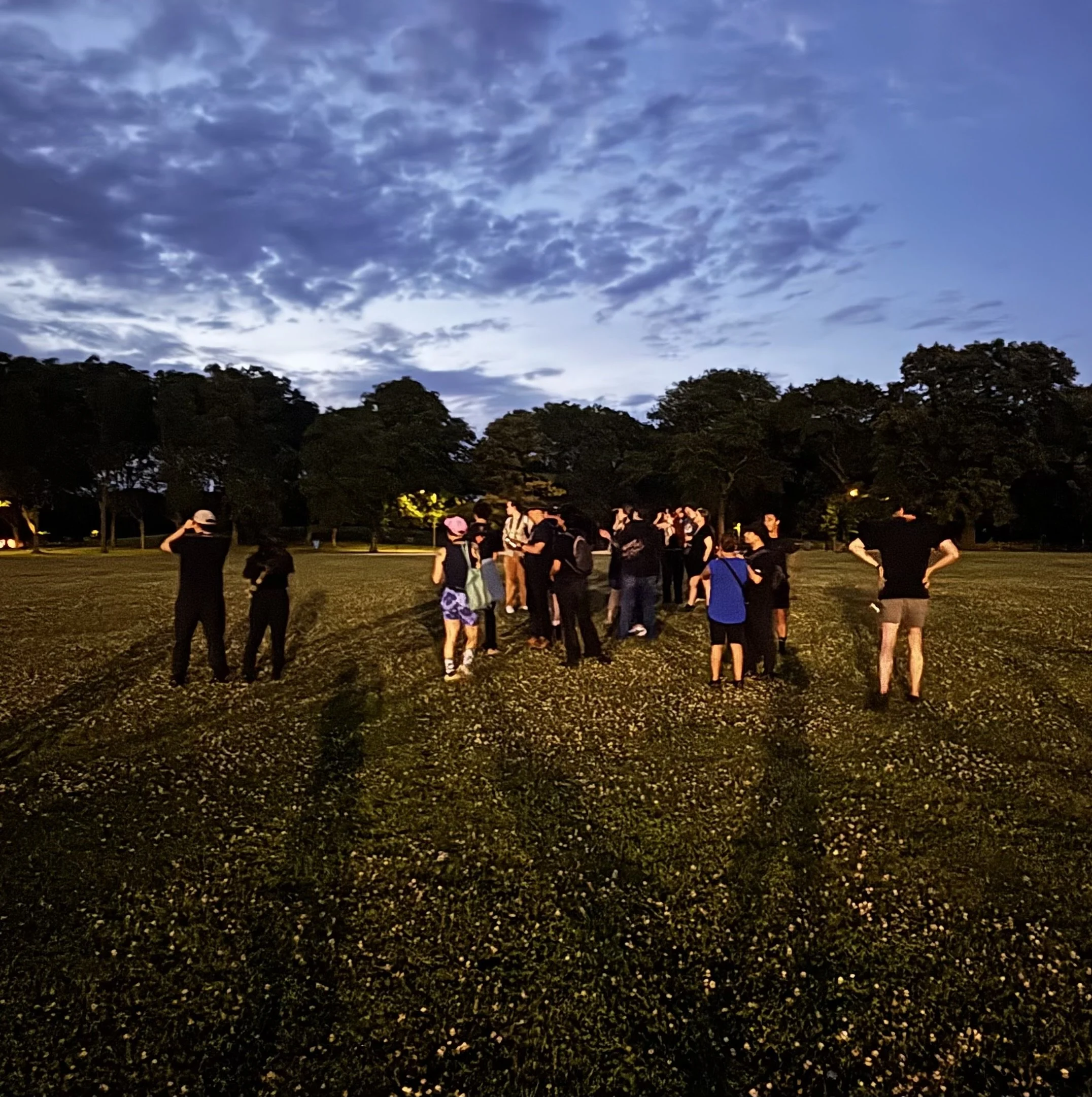 About 15 people in dark clothes, standing and seen from behind look at the darkening sky, silhoutetted trees behind them.
