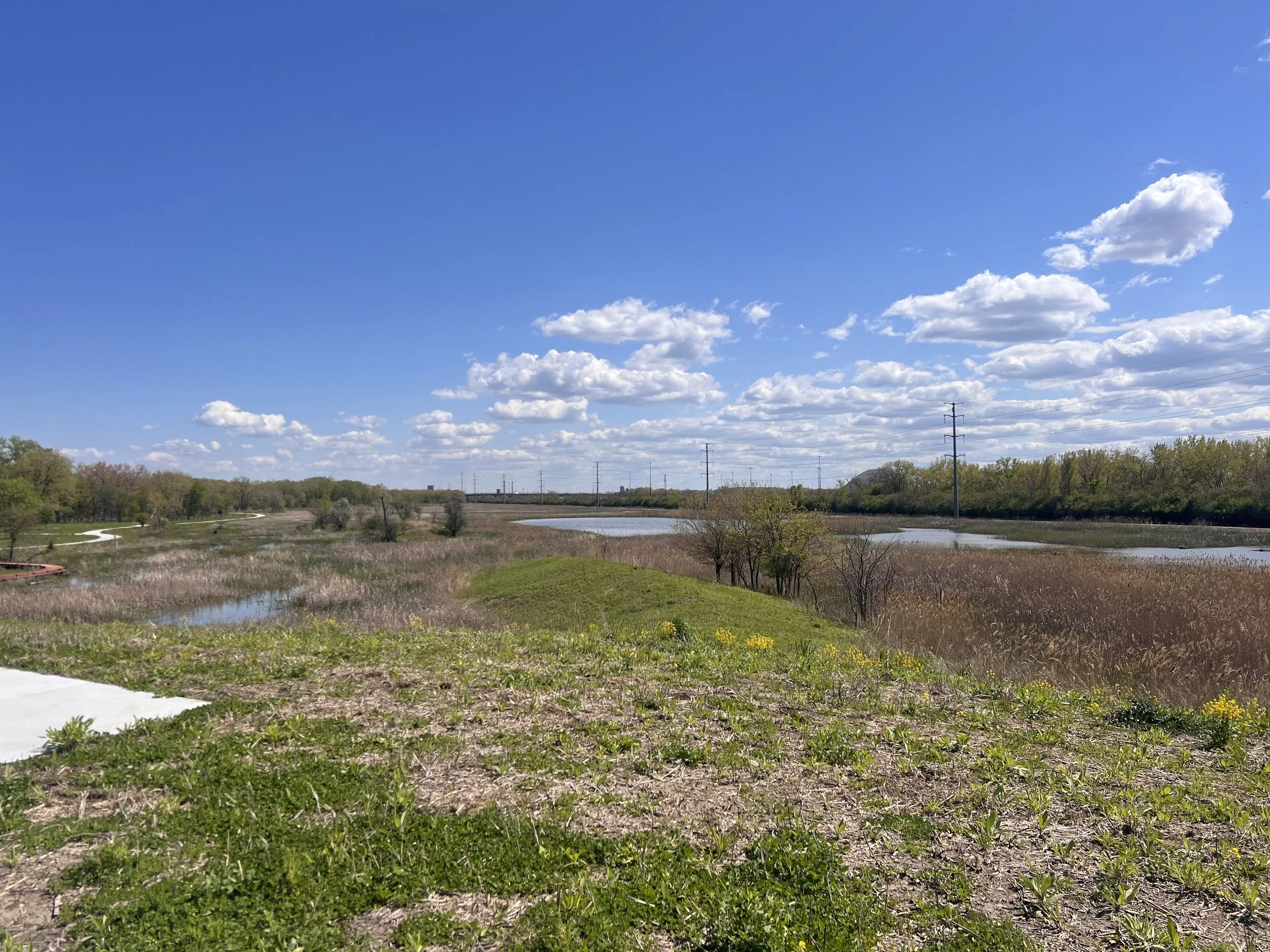 Chicago Hotspot: Marian R. Byrnes Natural Area