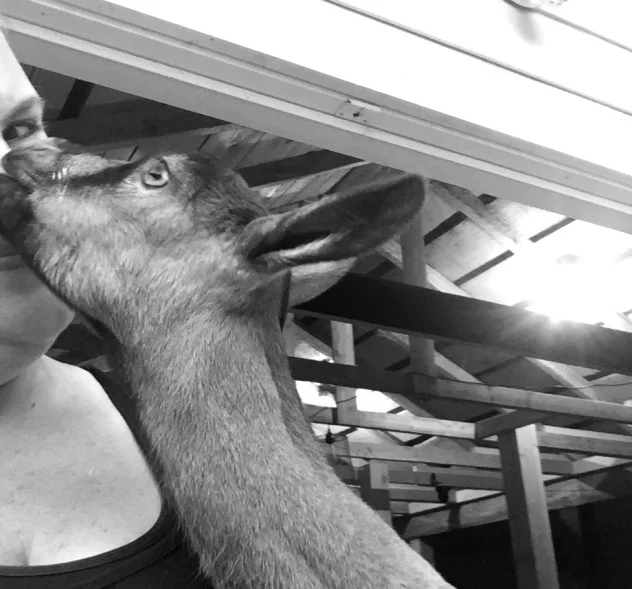 "I'll keep you safe, you keep me wild" This guy has my heart