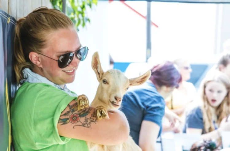 Delaney soaking up all the attention at our annual Baby Goats & Brews fundraiser