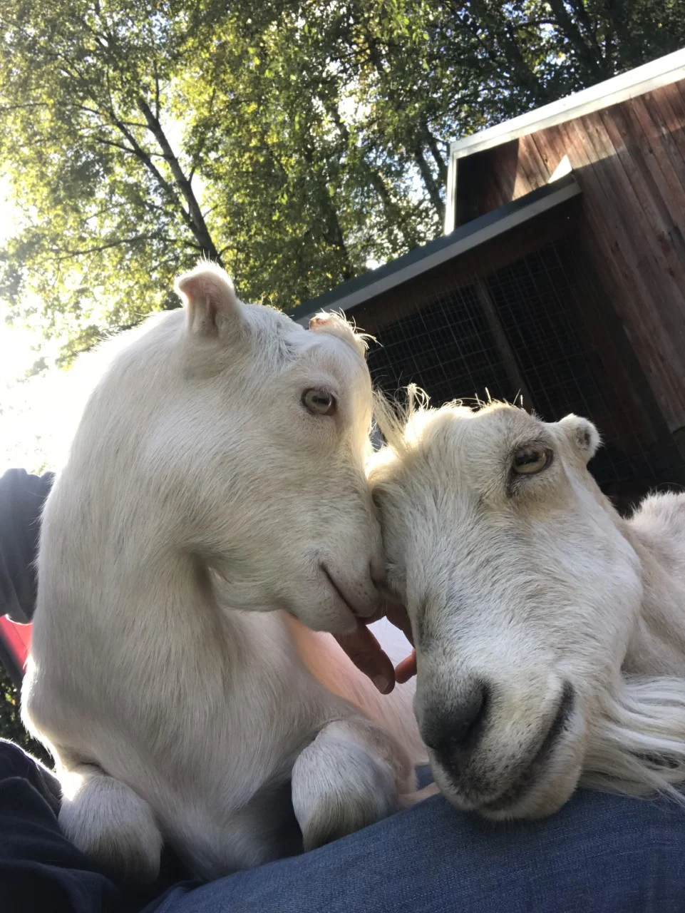 Yumi and her son YoYo