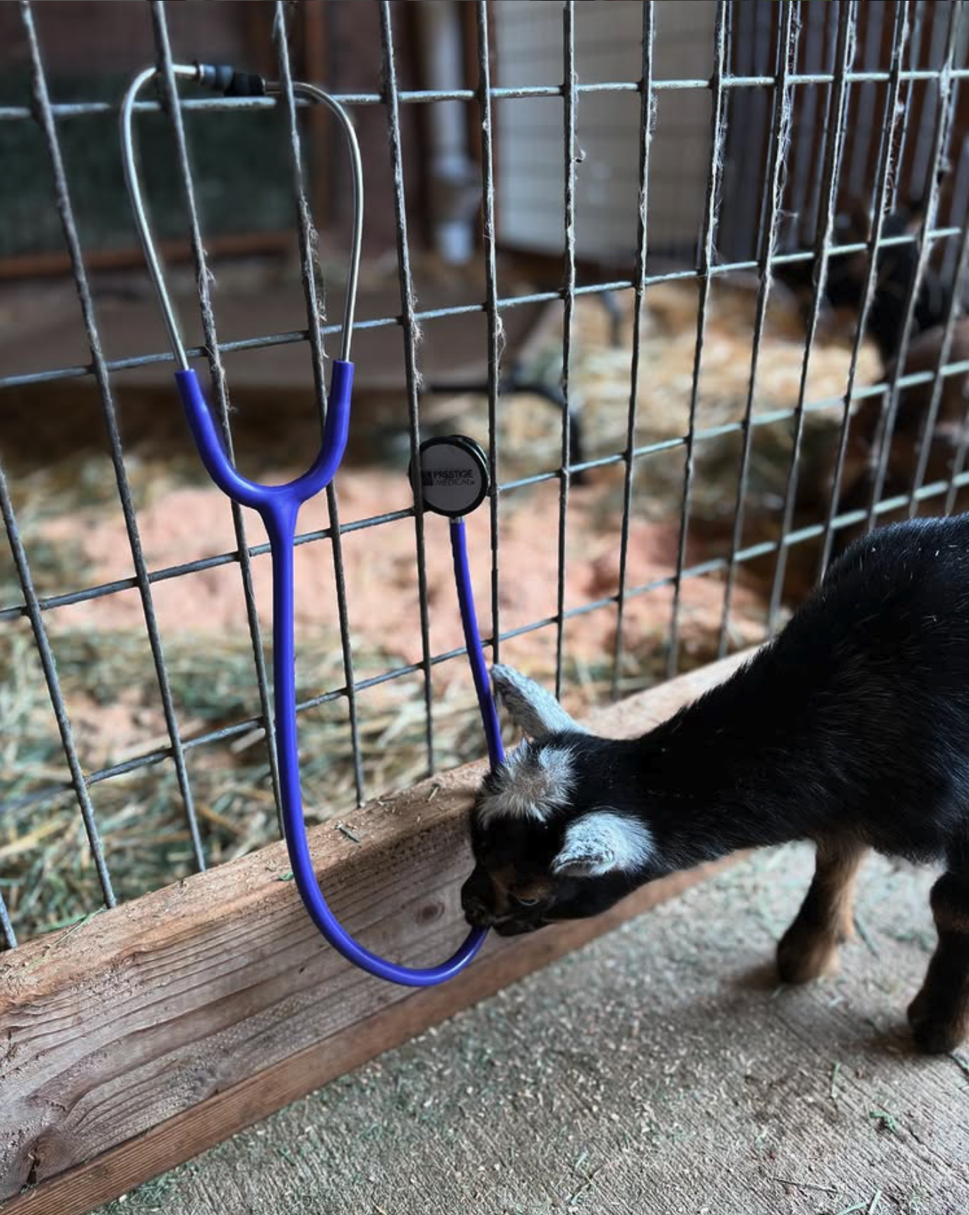 Screenshot 2026-03-25 at 8.43.59 PM.png