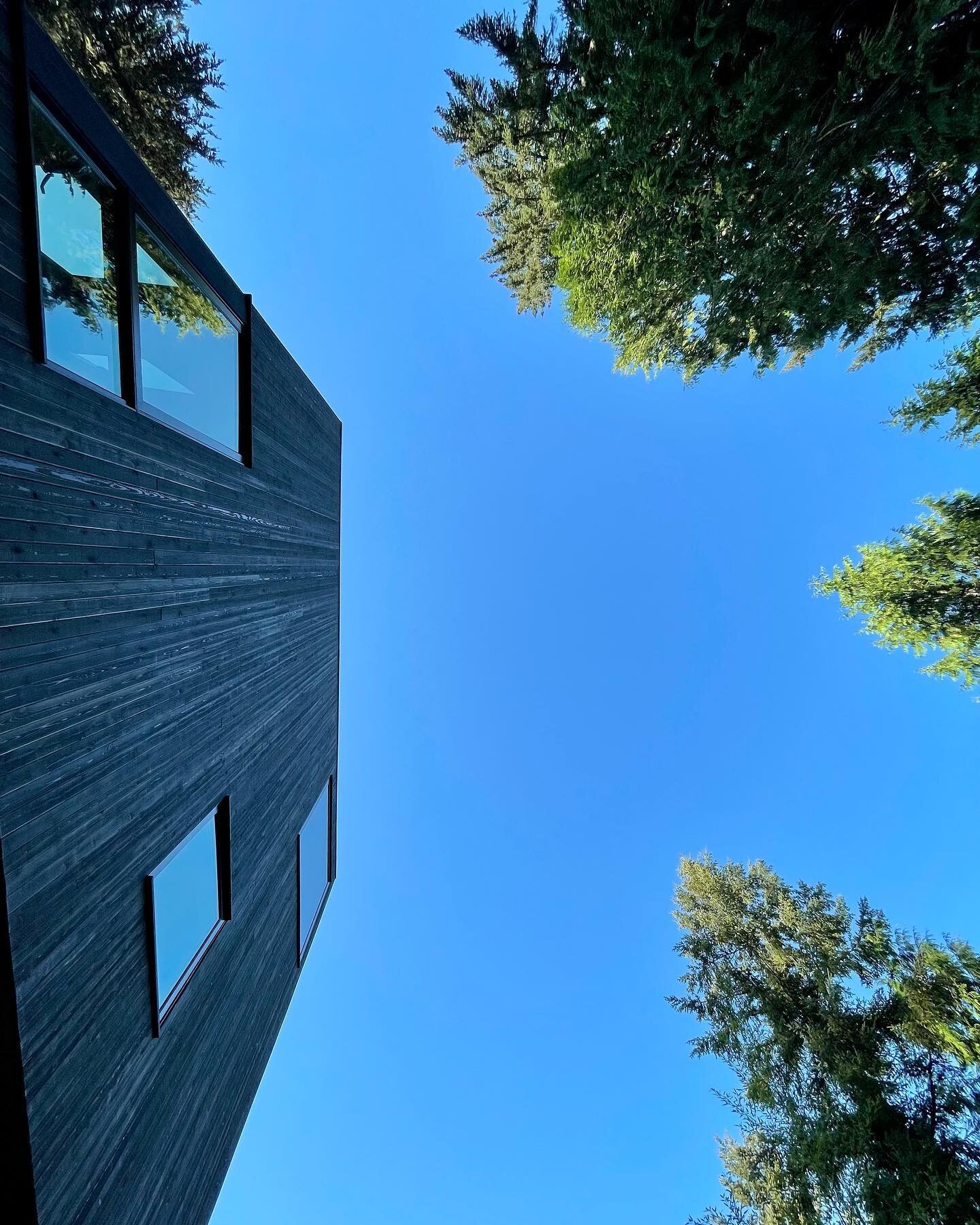 Blue sky, conifers and stunning architecture are known to alleviate abdominal work.
My good friends and clients Jon and Marriot Winquist took this picture taking a pause between abs series-or were we in #suptapadangusthasana ?-as we inaugurated the y