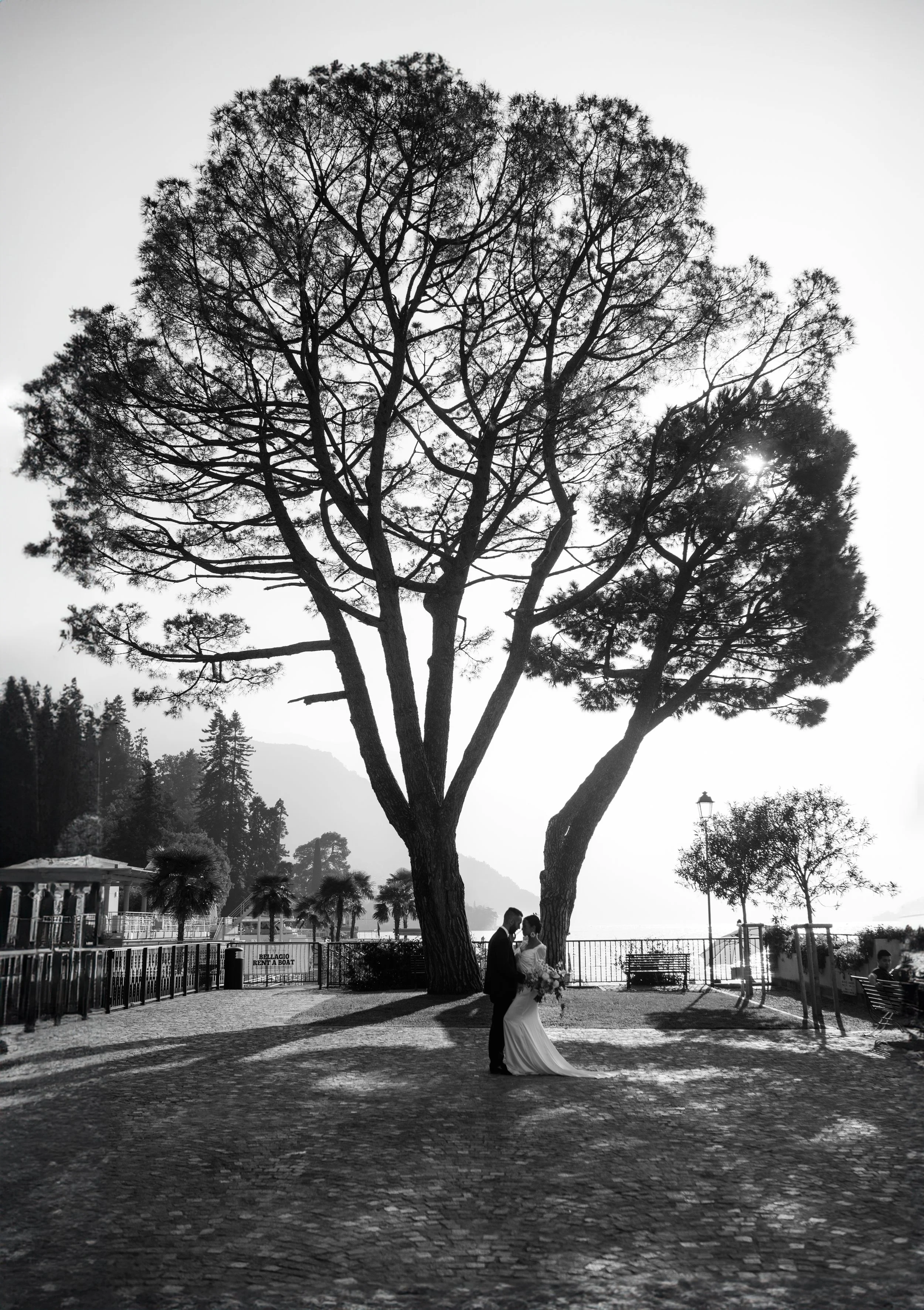Black and white photo of a couple under a large tree, near a lakeside promenade, with mountains in the background.