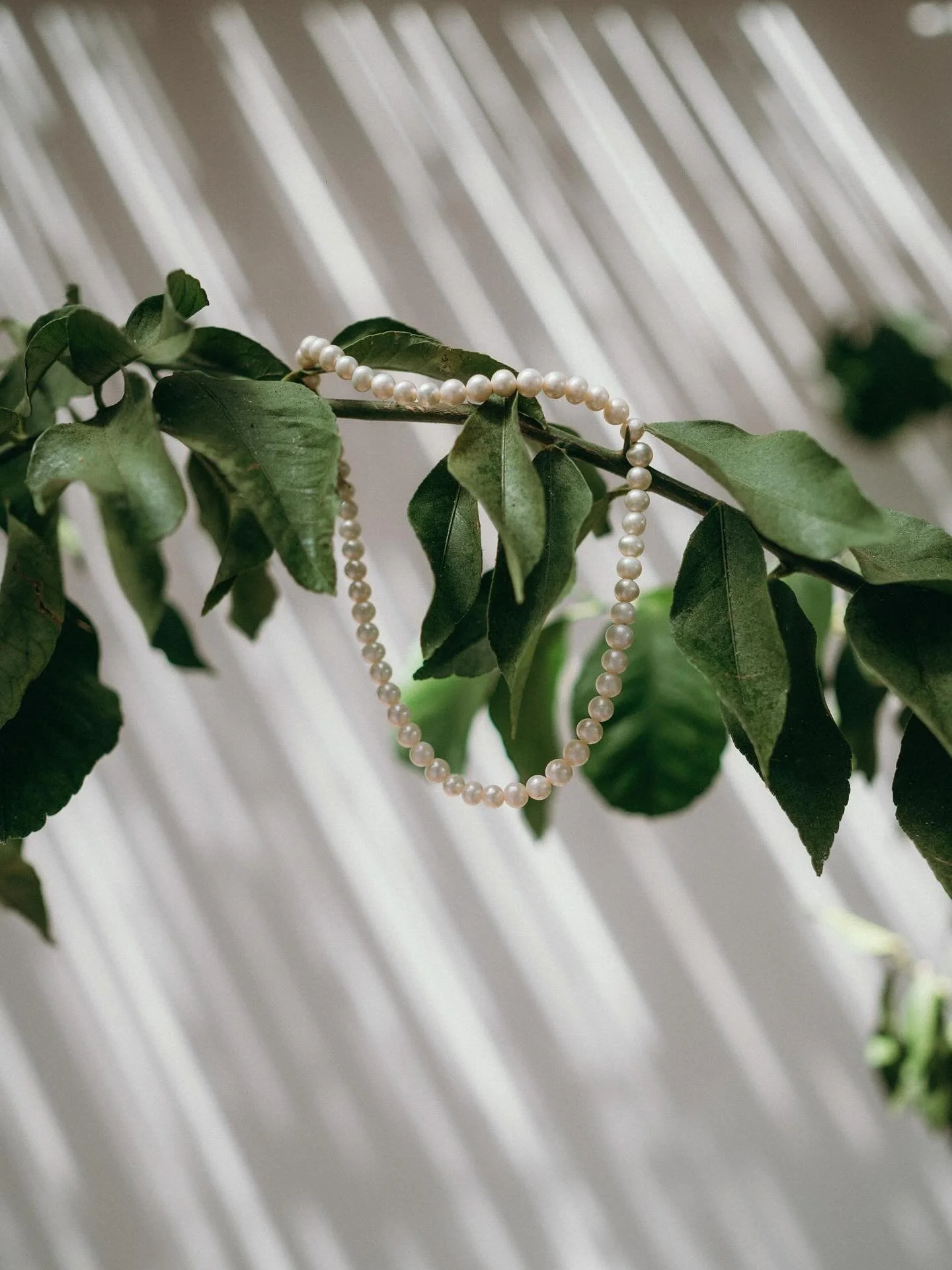 &ldquo;What are you referring to?&rdquo;
&ldquo;The details.&rdquo;
&ldquo;Why would I care about them?&rdquo;
&ldquo;Because I care about them! Morning. Noon. And night. I care about them.&rdquo;

The details are where the truth of the day lives,
in
