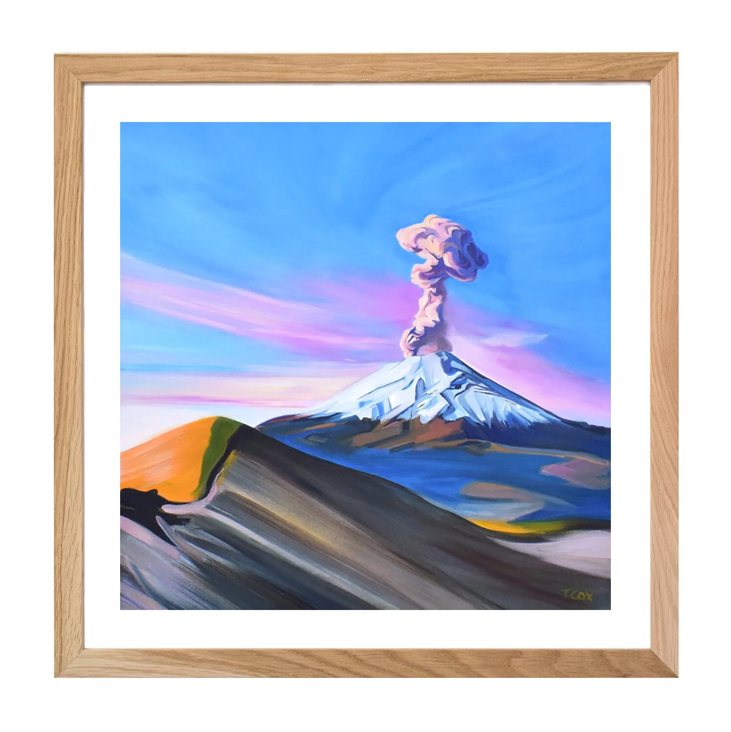 EL POPO_FRAMED.jpg