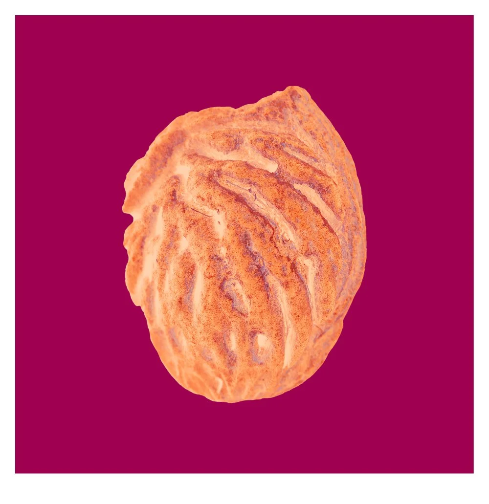 Peach Print 2_30 x 30_FINAL 2.jpg