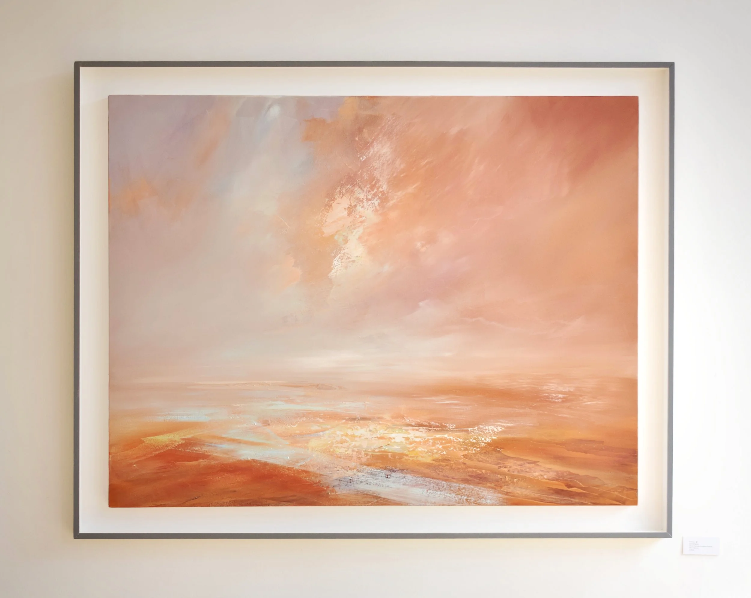 Spotlight Exhibition: David Taylor