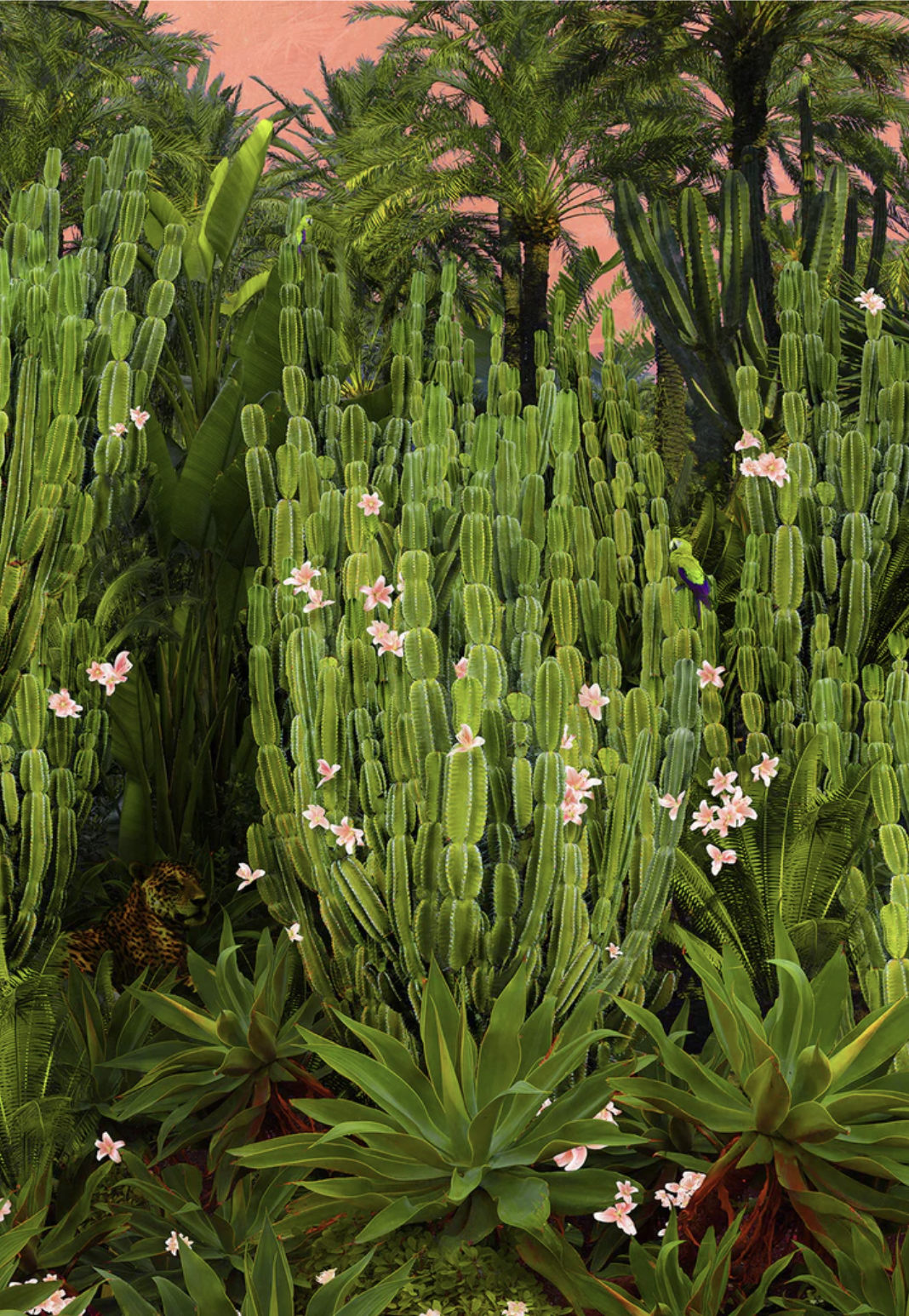 Cactus Song.png