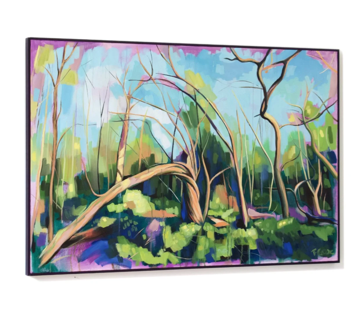 After the storm side.jpg