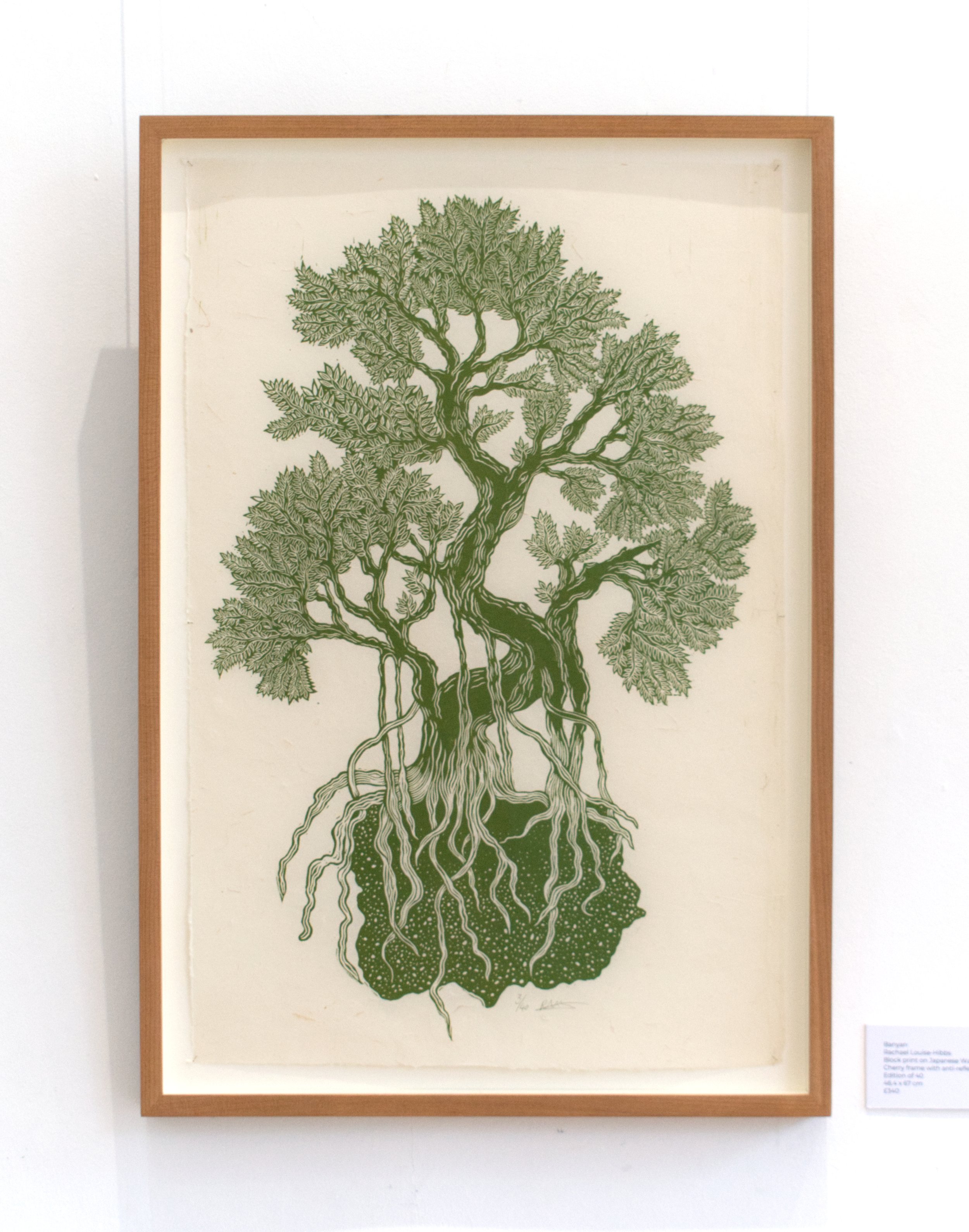 Banyan framed.jpg