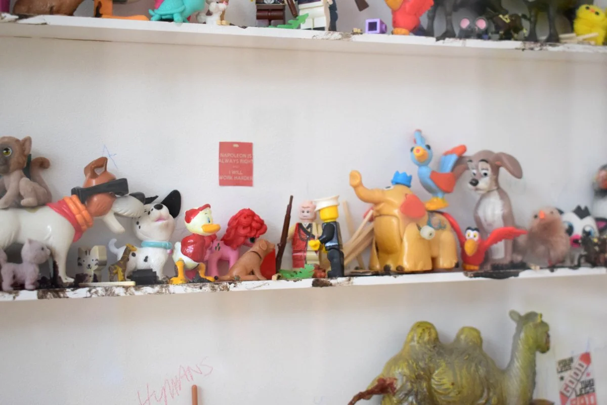 Animals close.jpg