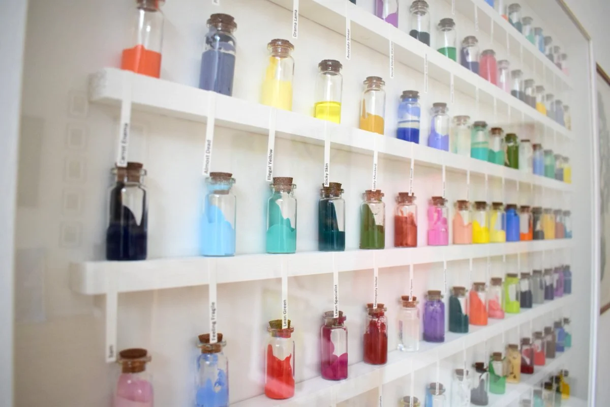 Elephant big close up 2 .jpg