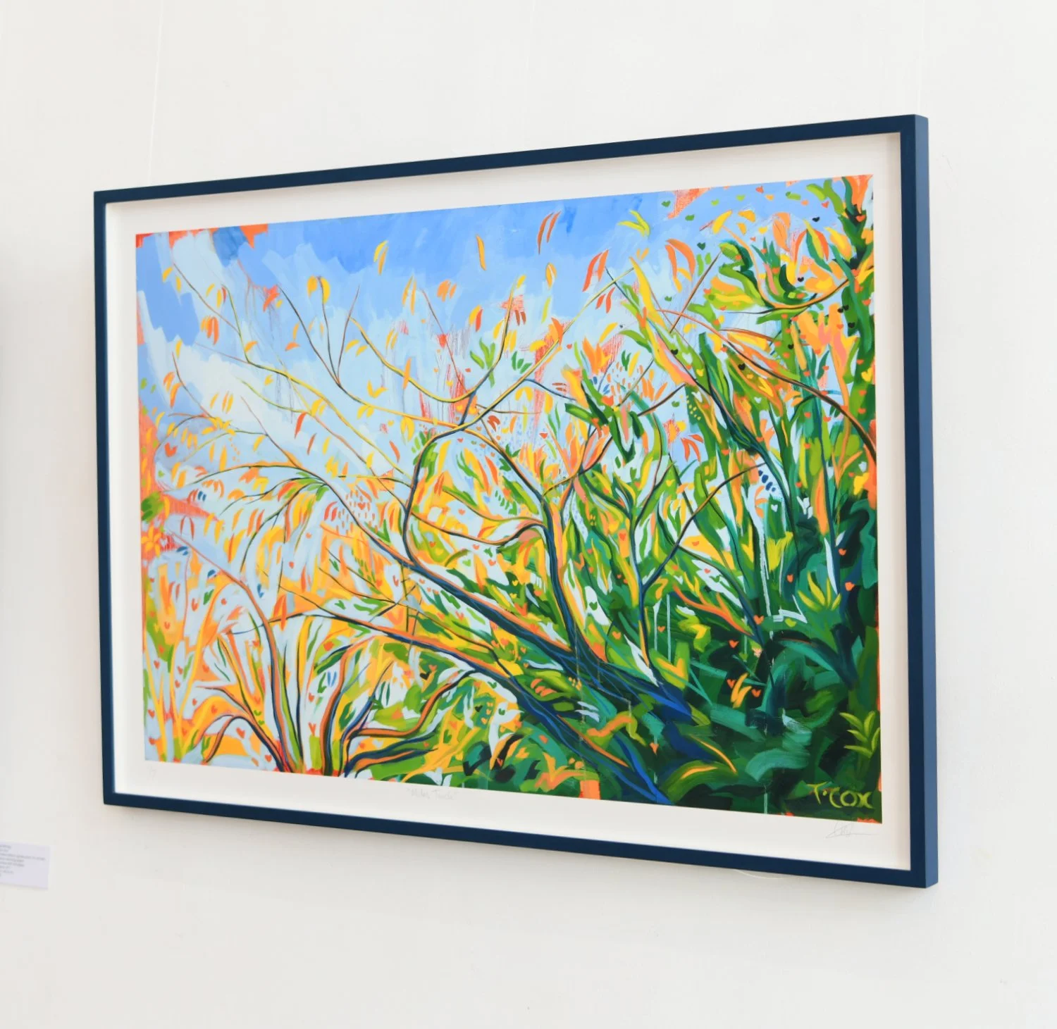 Midas Touch Side on.jpg