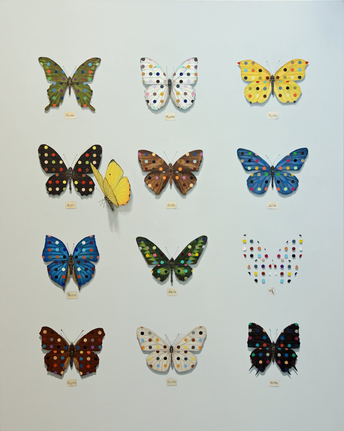 15-Polka dots butterflies.jpg