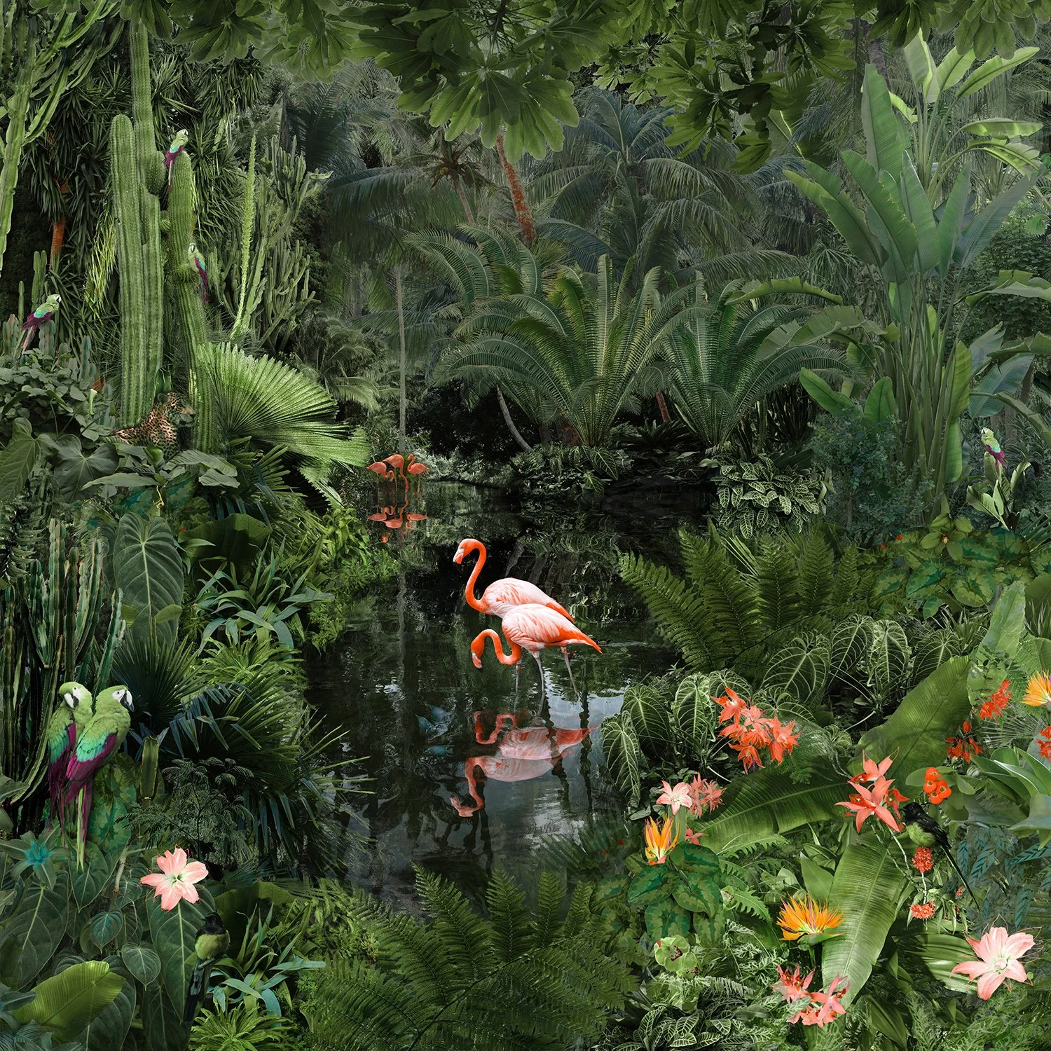 BACKWATERS POOL TN SMALL Nadia ATTURA.jpg