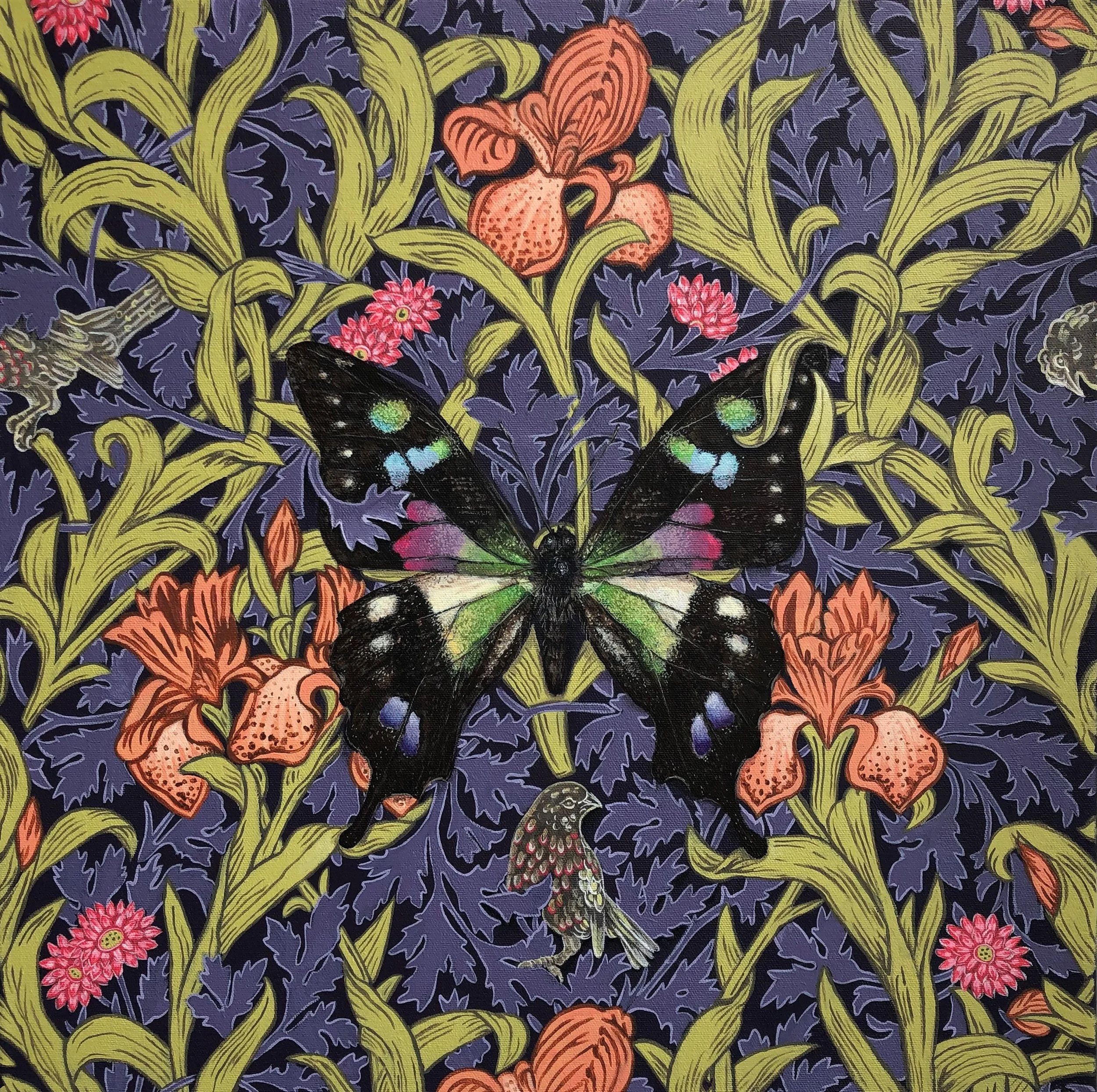 4-Purple Spotted Swallowtail.jpg