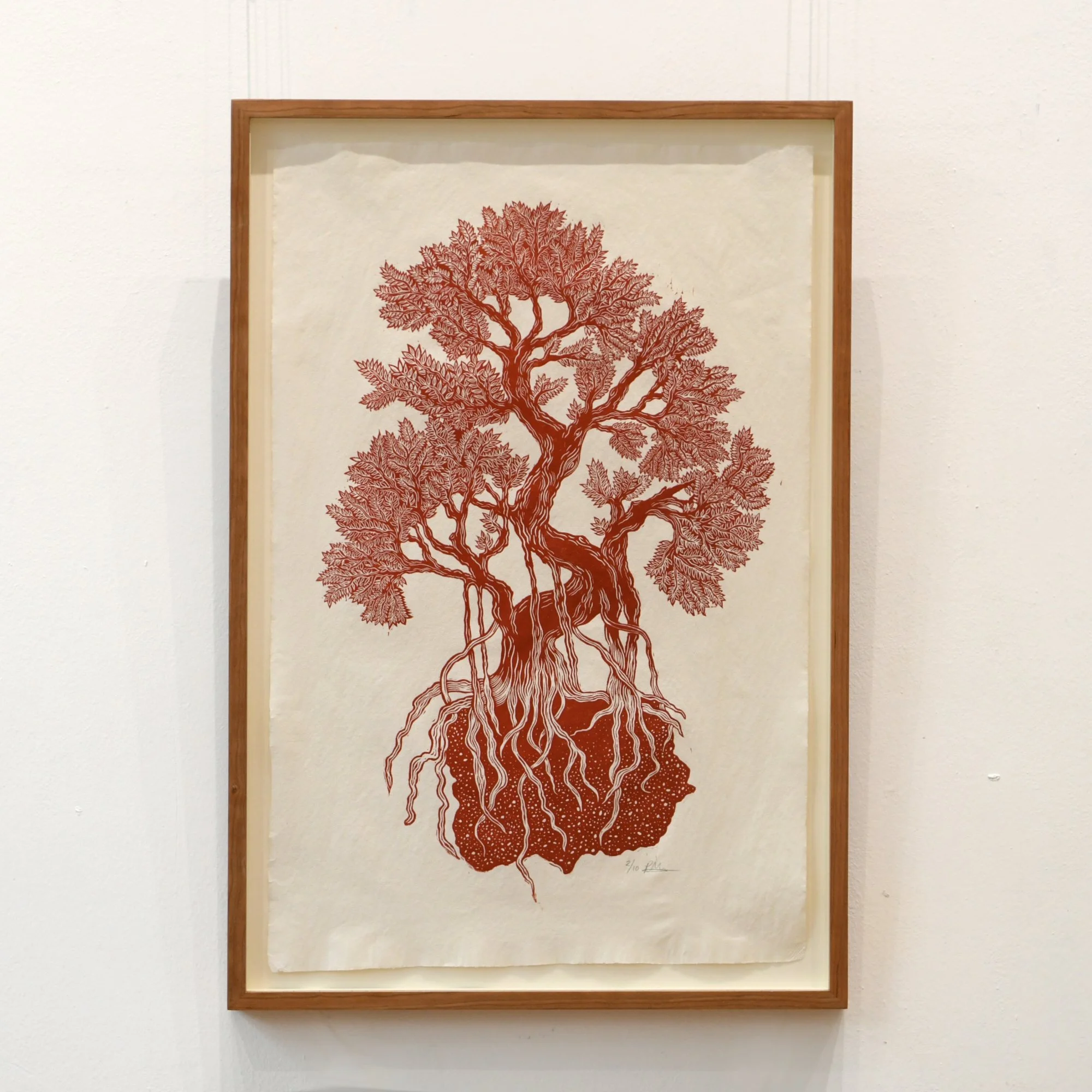 Willow red.jpg