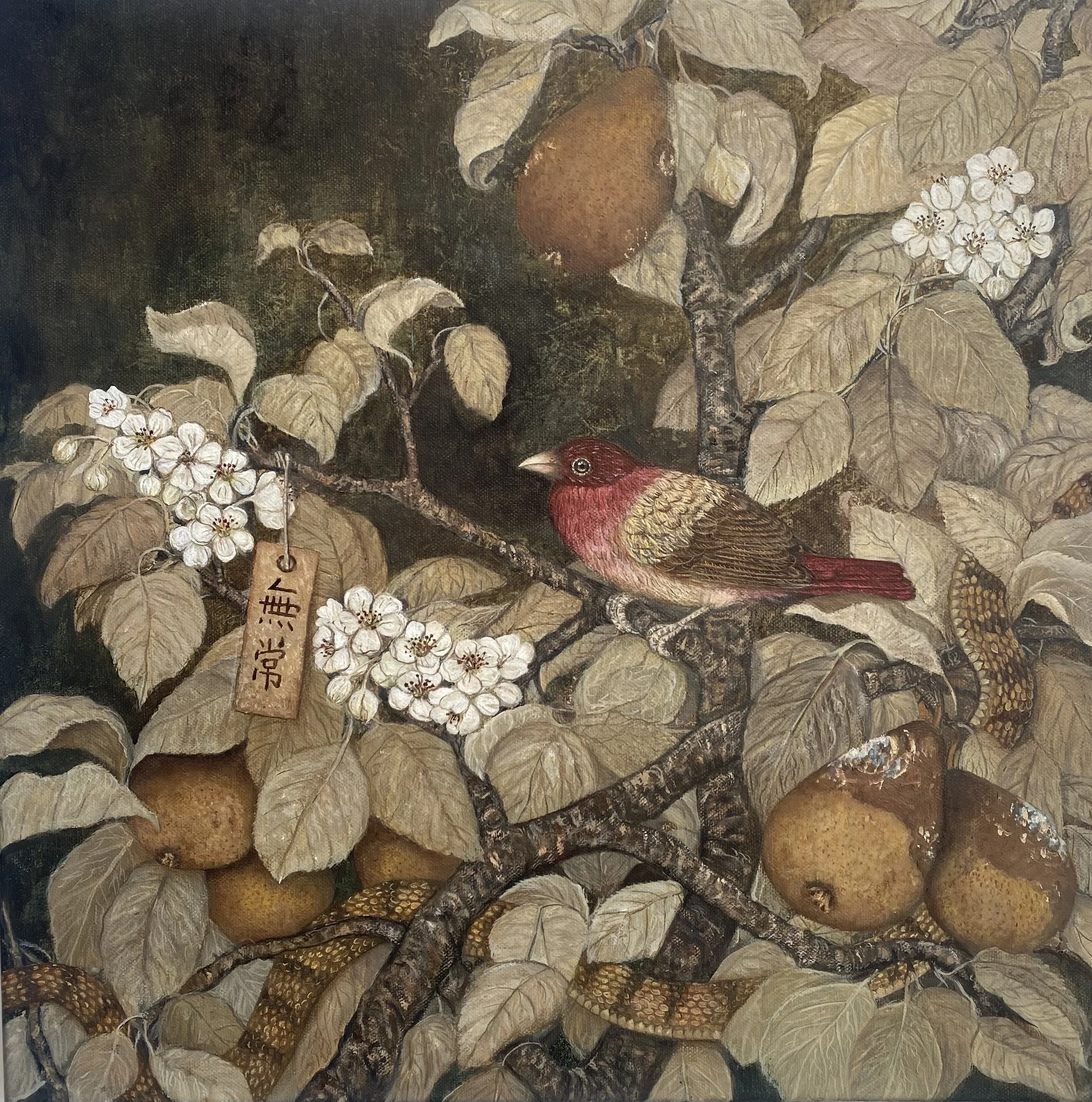 2-The pear tree_oil on canvas_50x50 cm.jpg