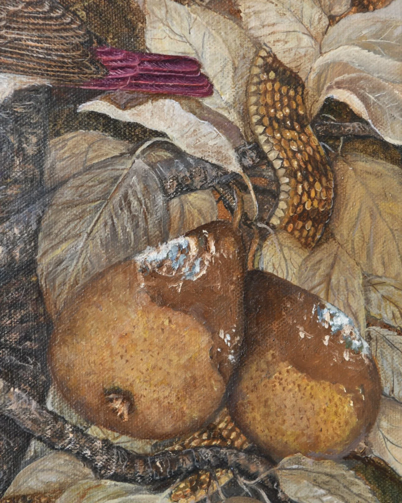 The Pear Tree Close 3.jpg
