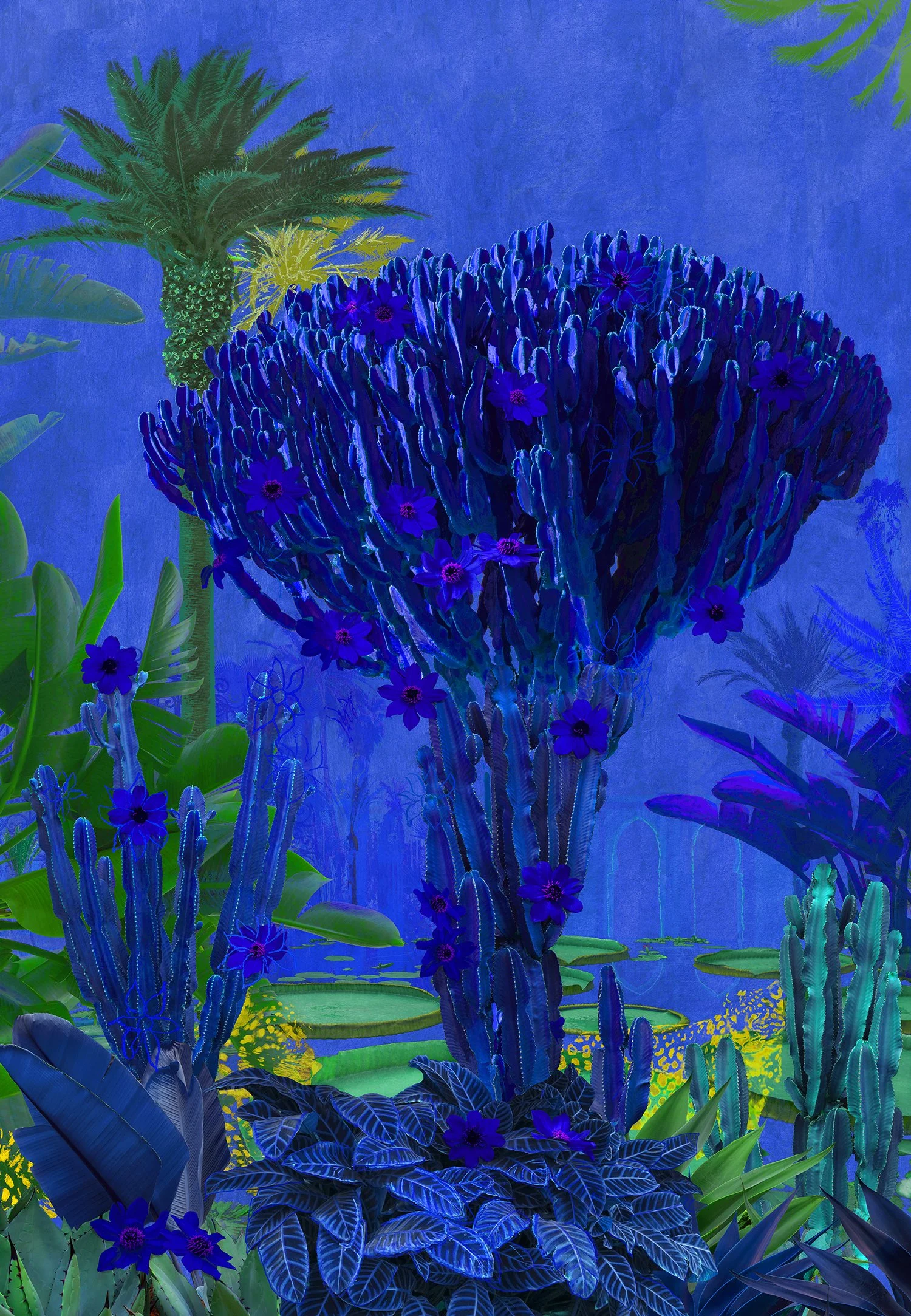 CACTUS MARRAKECH tn small.jpg