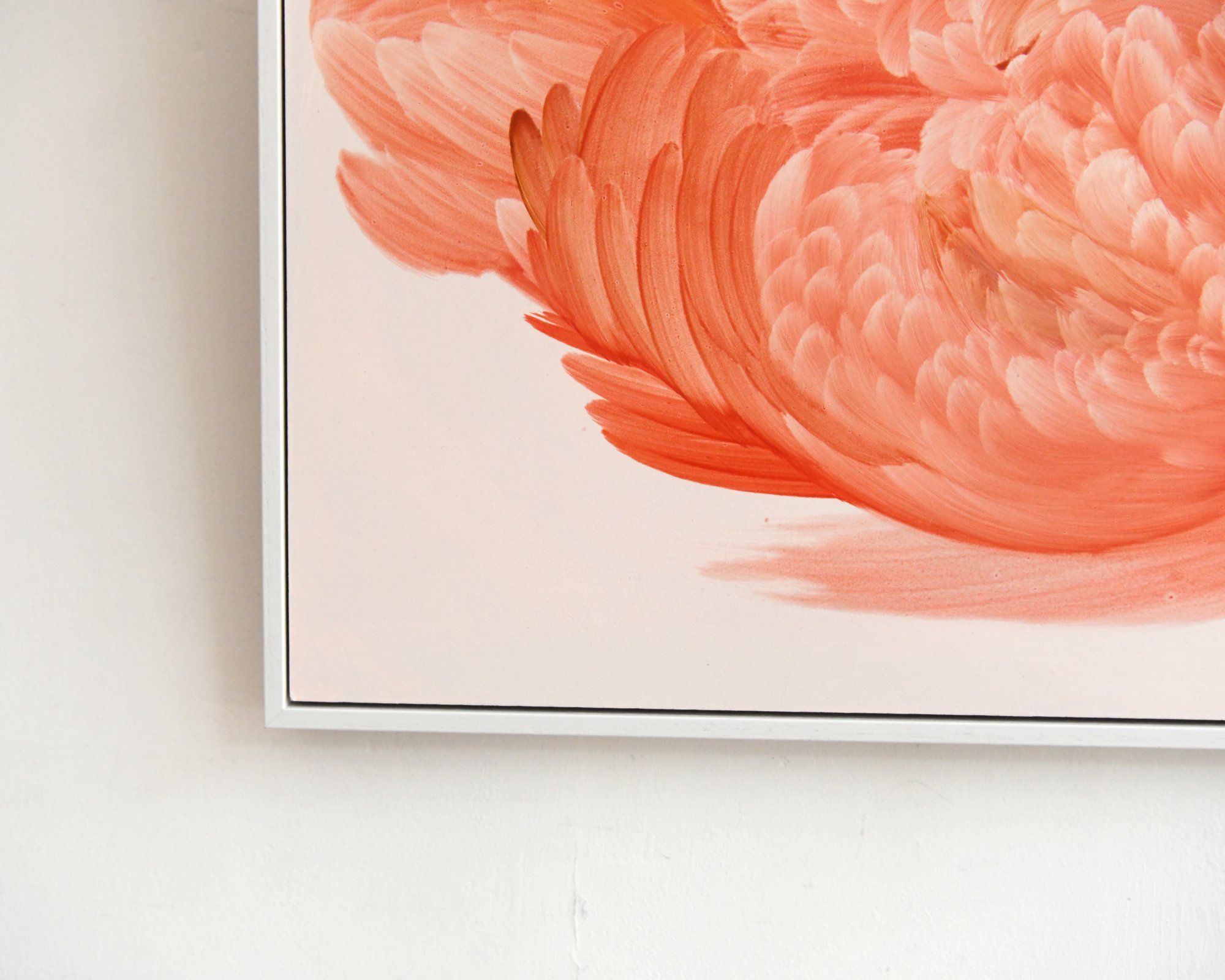 DSC_6336 edited corner .jpg