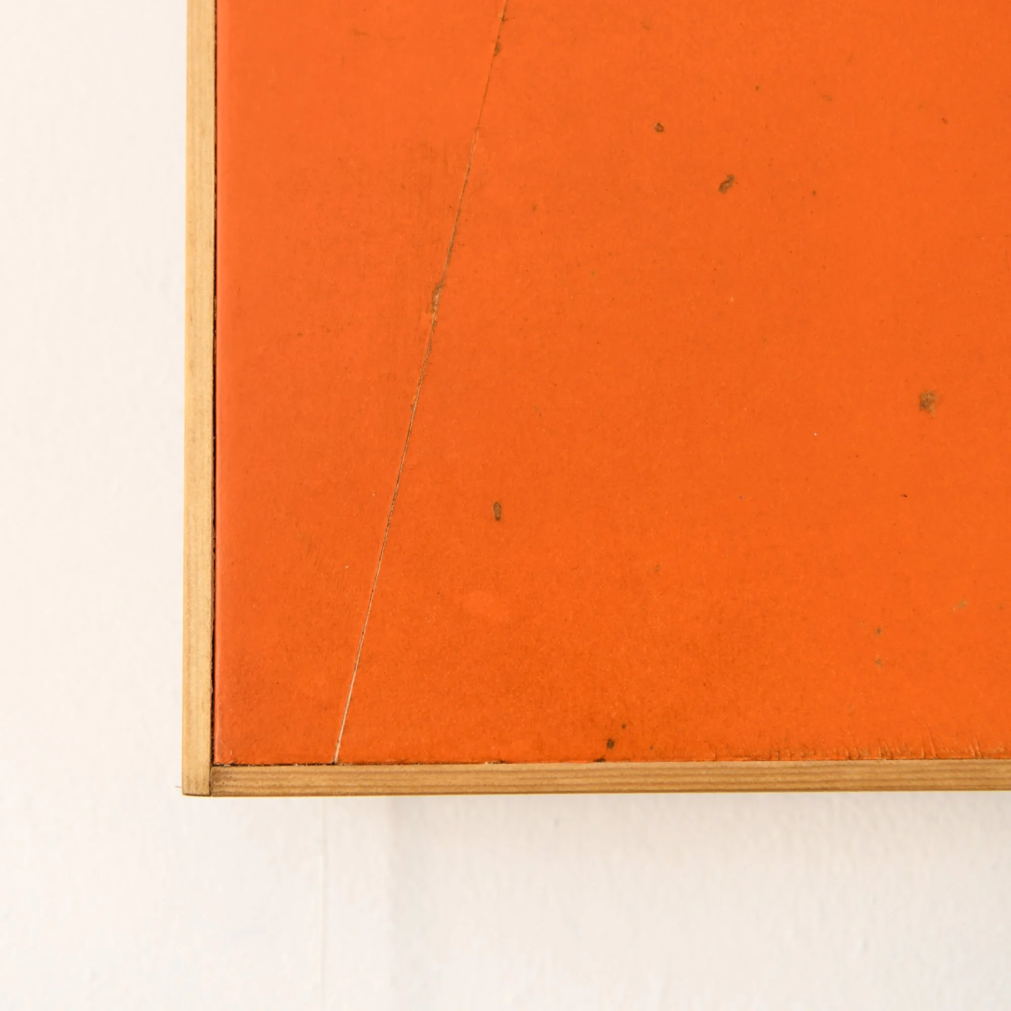 Big orange close up.jpg