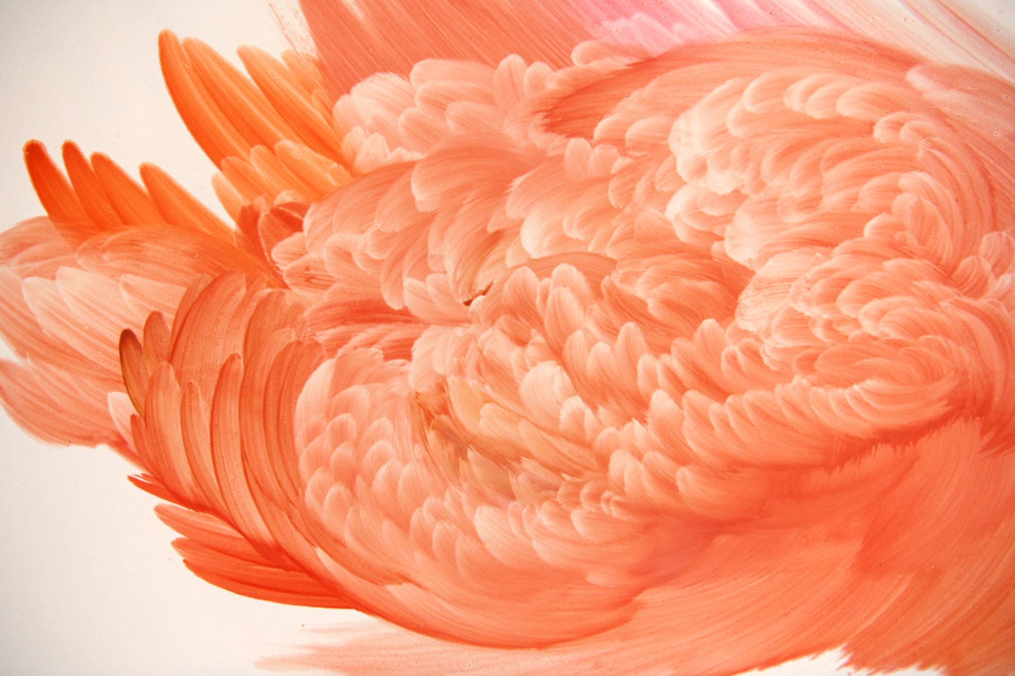 DSC_6337 edited detail .jpg