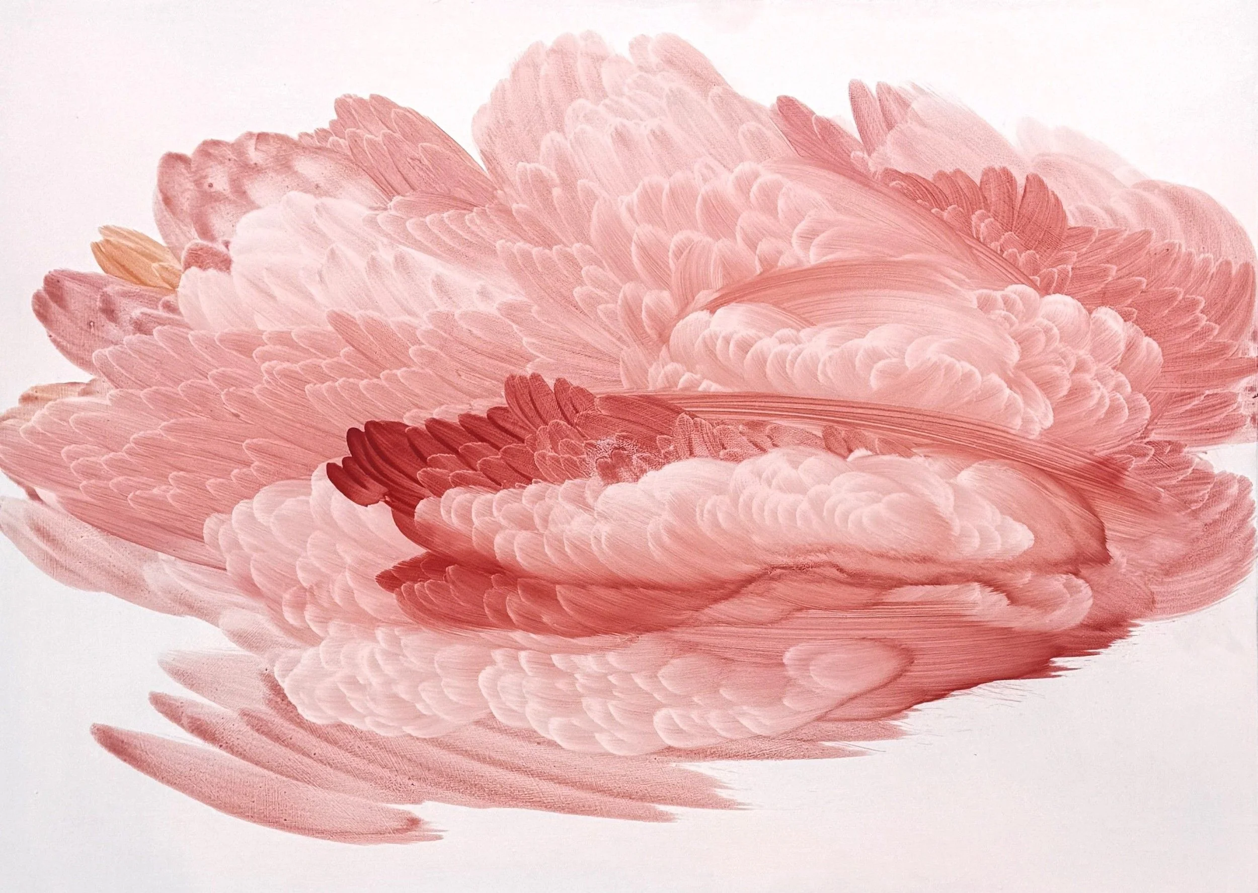 15_LFN_Rene _55.5x75.5.JPG